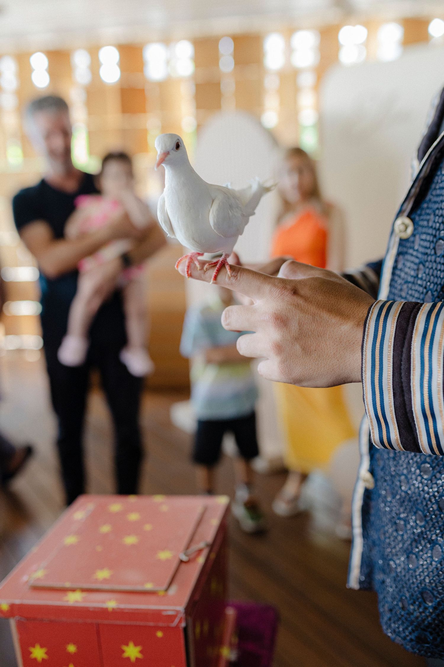 Magician holds white dove on finger at family event with red star-decorated magic box nearby.