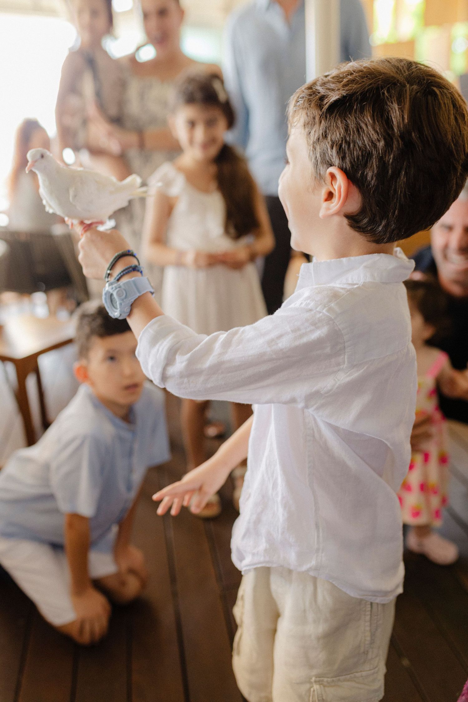 Young boy in white shirt holding a white dove at a celebration surrounded by children and guests.