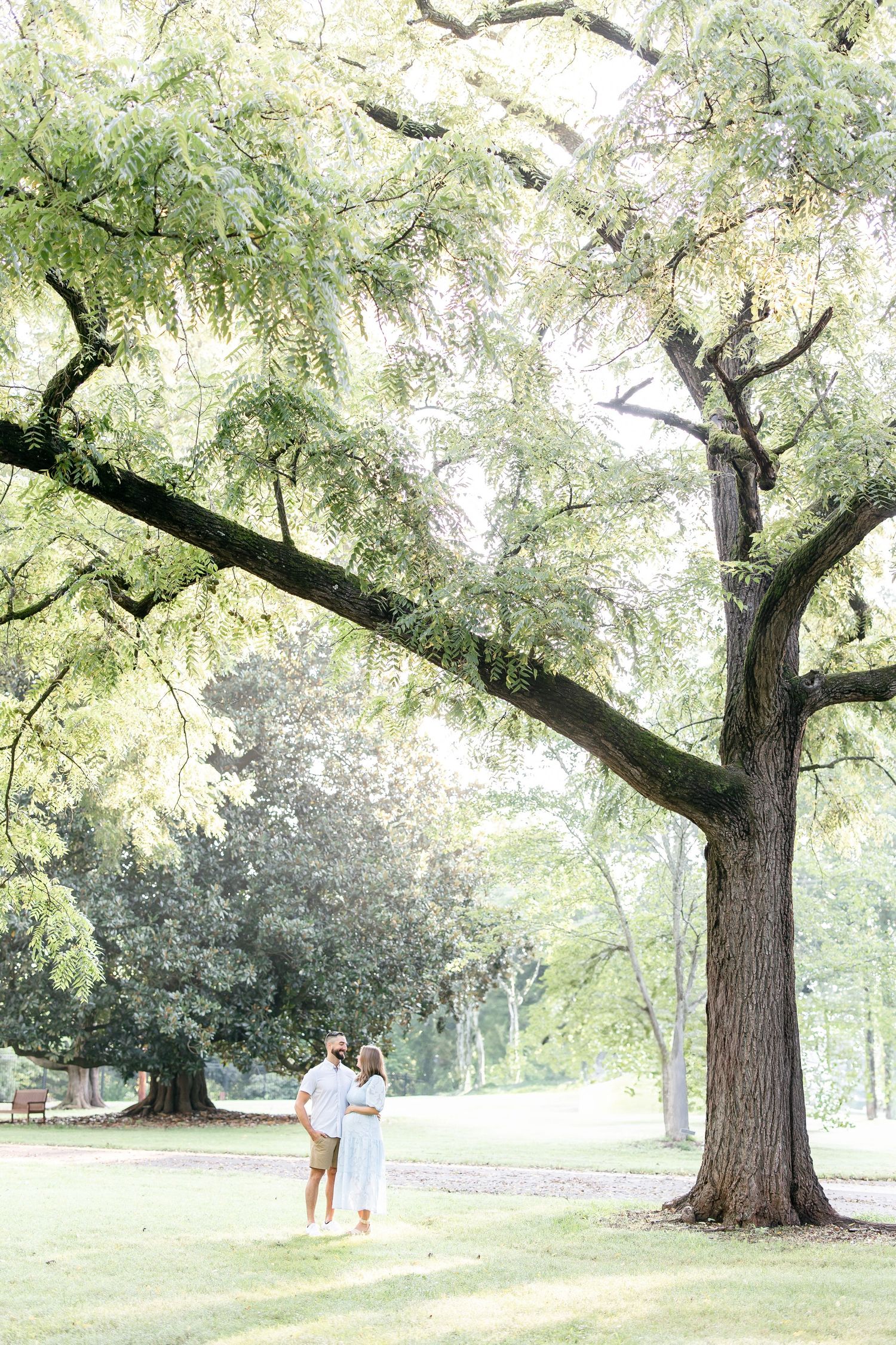 Scenic garden view with large trees creating a natural archway along a peaceful walking path.