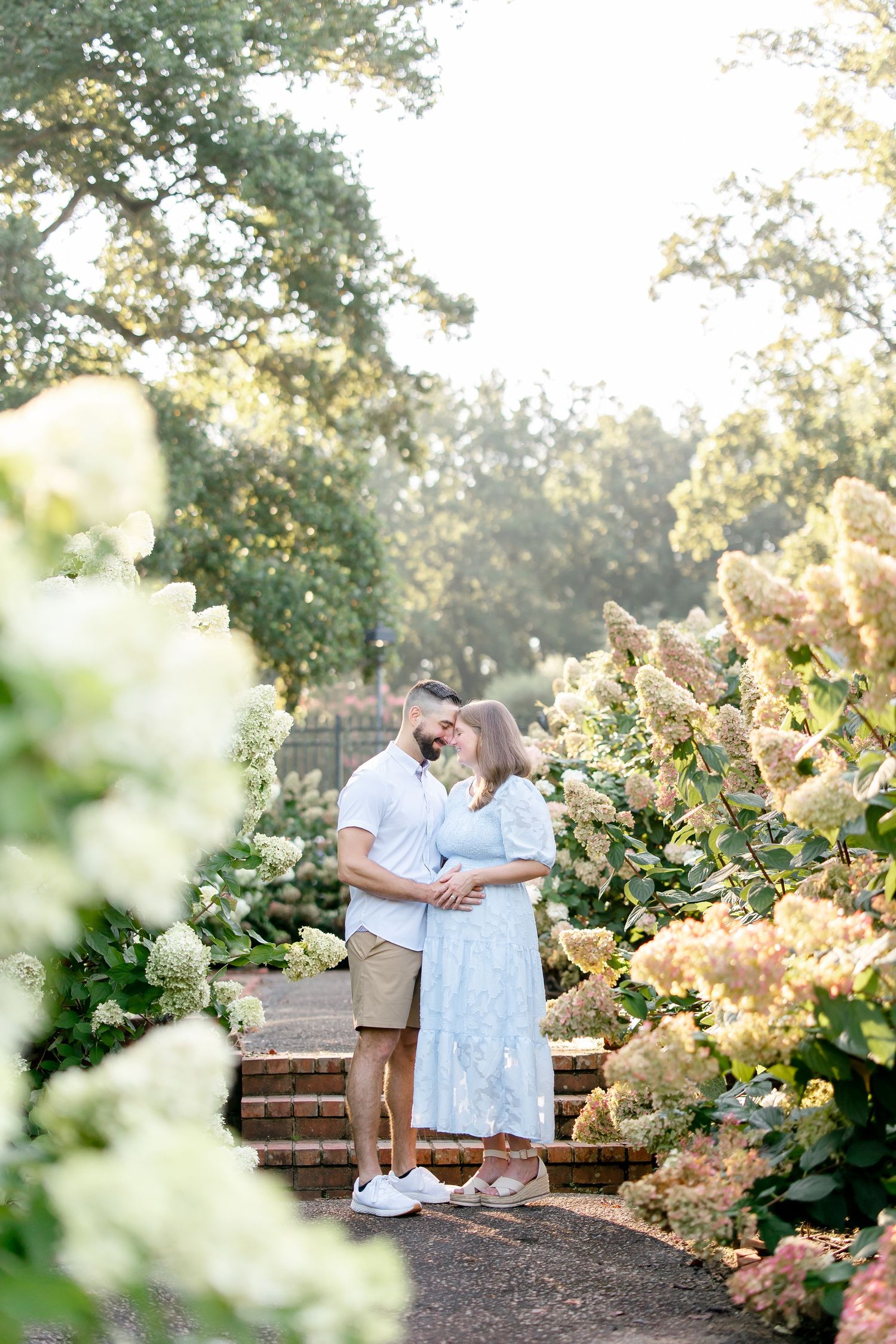 A couple embraces on a wooden bench surrounded by blooming hydrangea bushes in a sunlit garden setting.