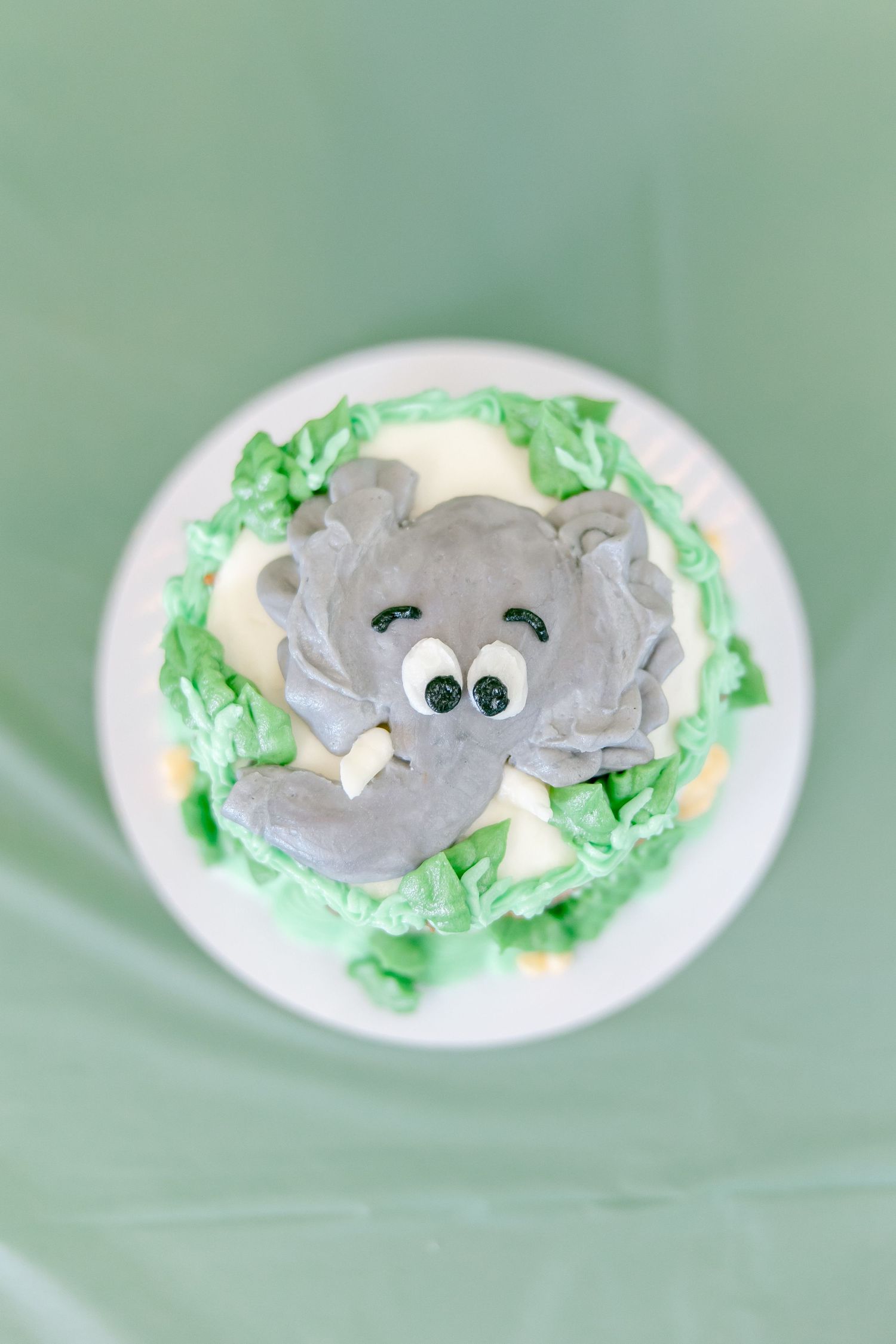 Overhead view of smash cake decorated with grey elephant design and green frosting.