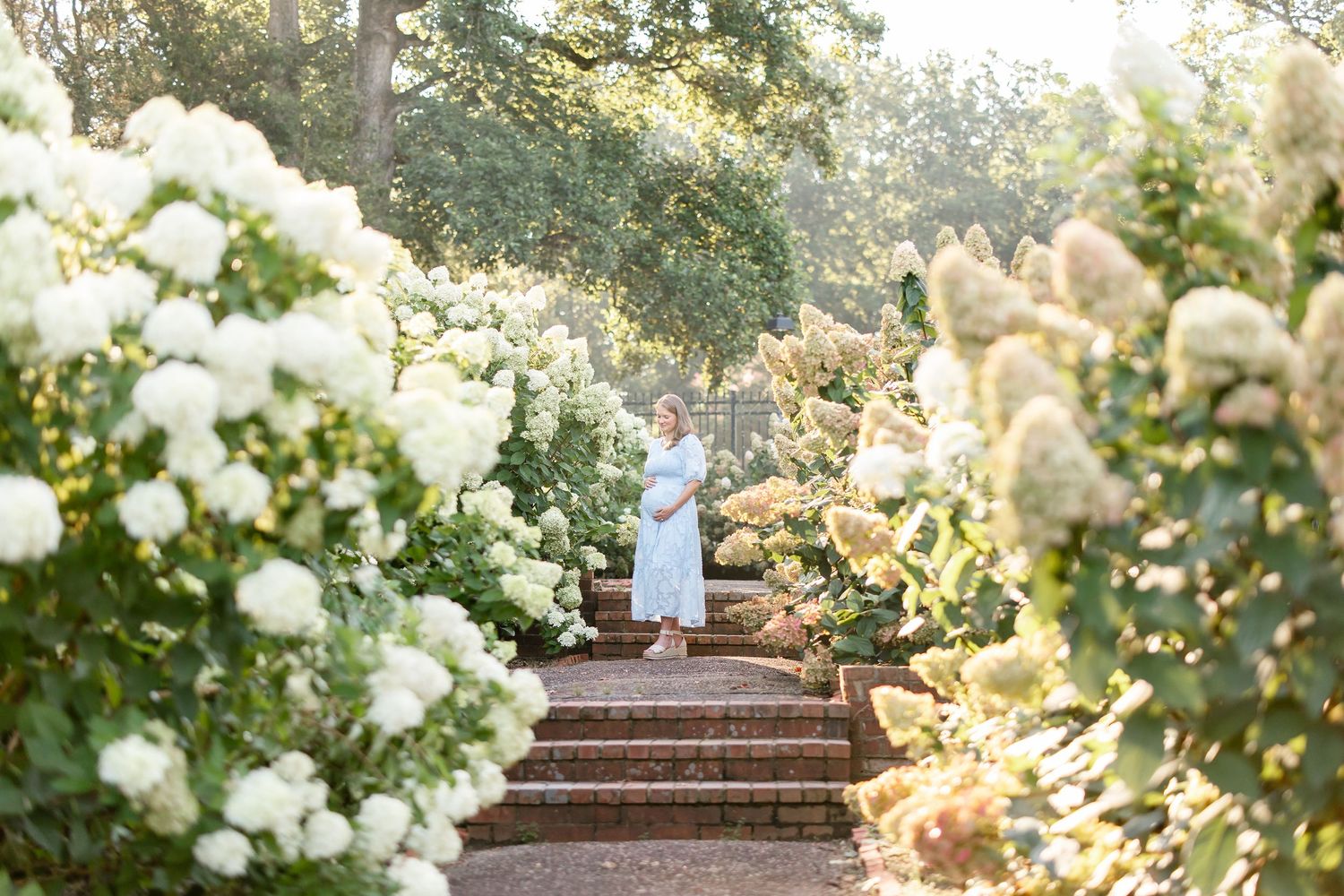 White roses bloom on an elegant garden archway leading up stone steps in a dreamy outdoor setting.