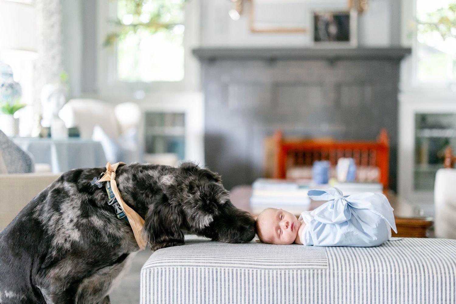 A newborn baby rests peacefully on a couch while a watchful black dog lies nearby.