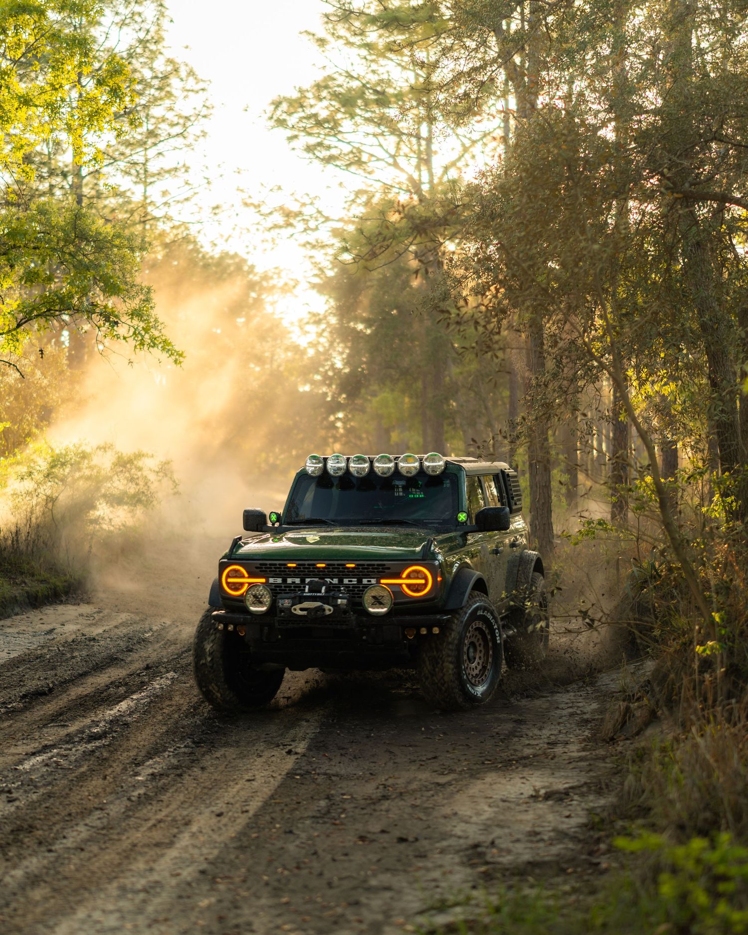 Ford Bronco charging through a rugged wooded path in golden sunlight, kicking up dust and trail debris
