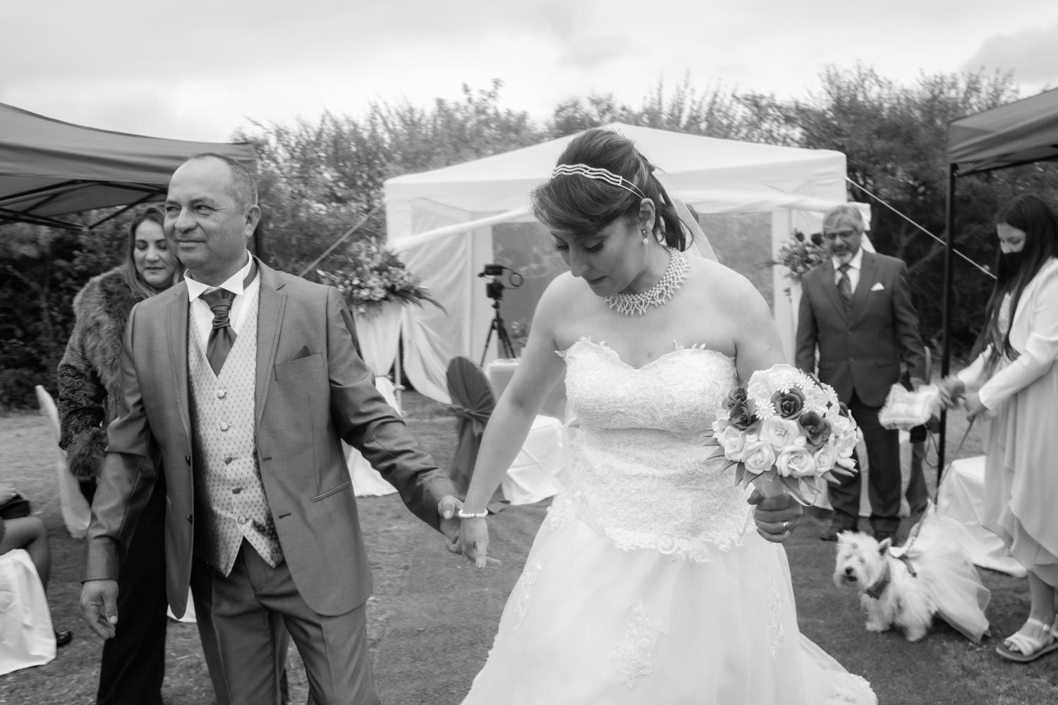 Bride and groom walk hand in hand outdoors at wedding reception in black and white photo.
