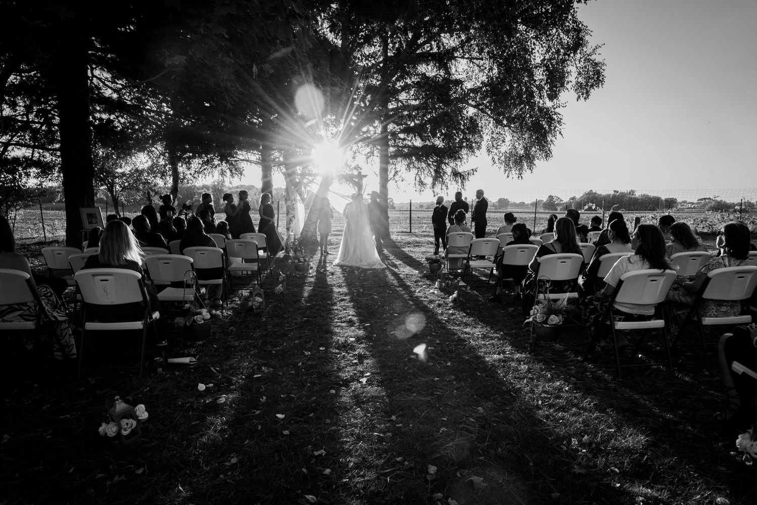 Black and white wide-angle wedding ceremony outdoors under trees with dramatic sunburst and seated guests.