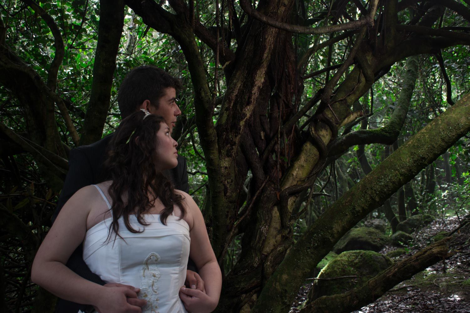 Bride and groom embrace romantically among twisted moss-covered trees in a lush forest.