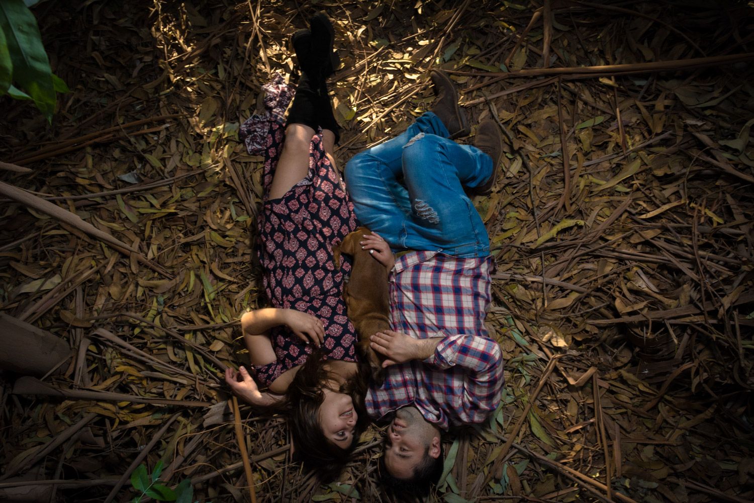 Couple lying together on bed of dried leaves in forest, aerial view photography.