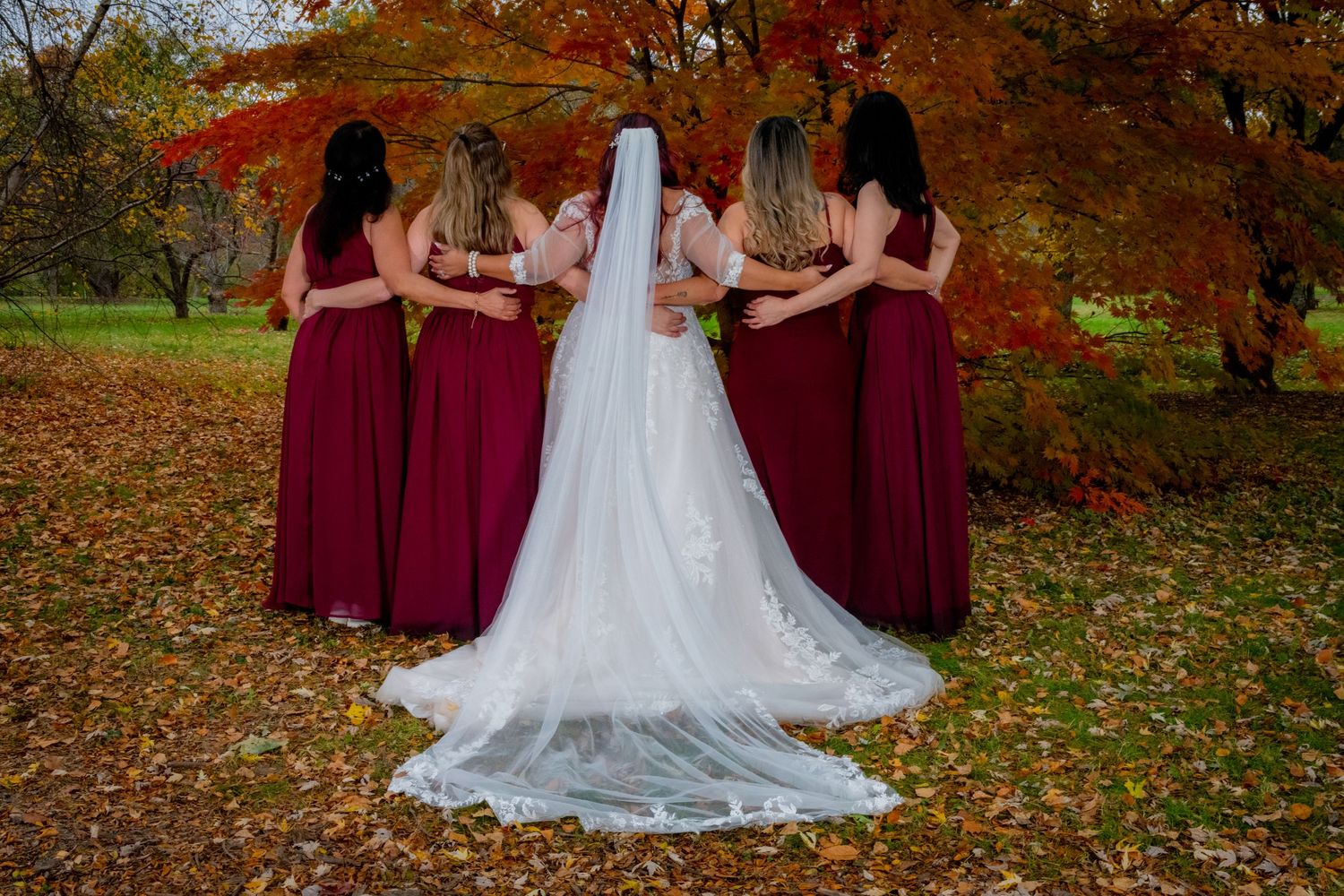 Bride and bridesmaids in burgundy dresses pose with backs turned among vibrant autumn foliage in an outdoor fall wedding photo.