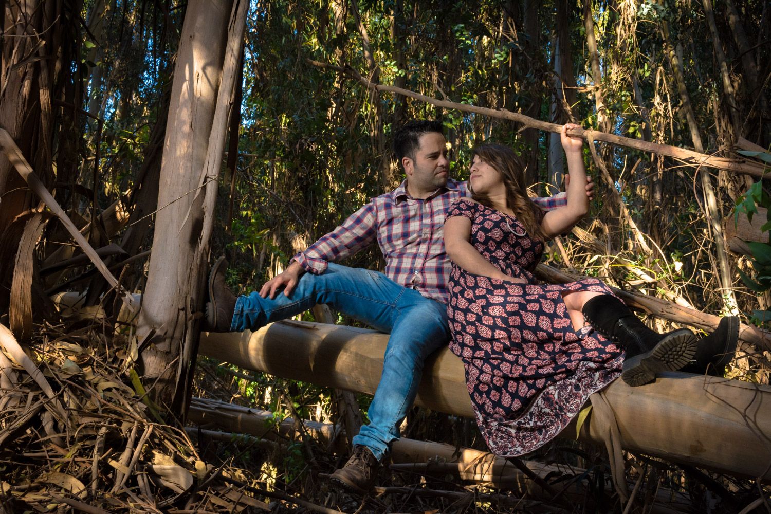 Couple sitting on fallen logs in sunlit forest, woman reaching up to tree branch.