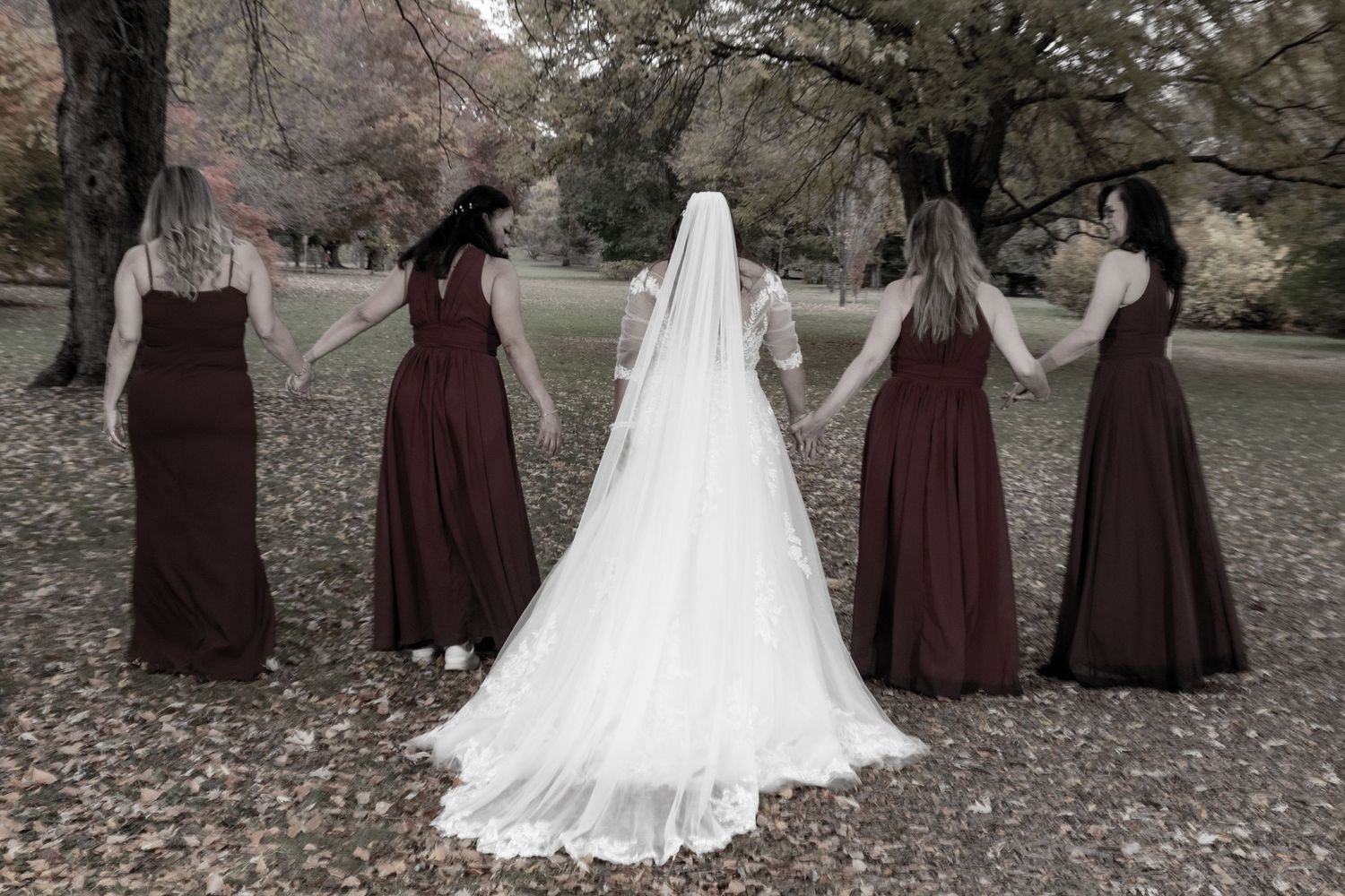 Bride with four bridesmaids in burgundy gowns holding hands facing away in autumn park.