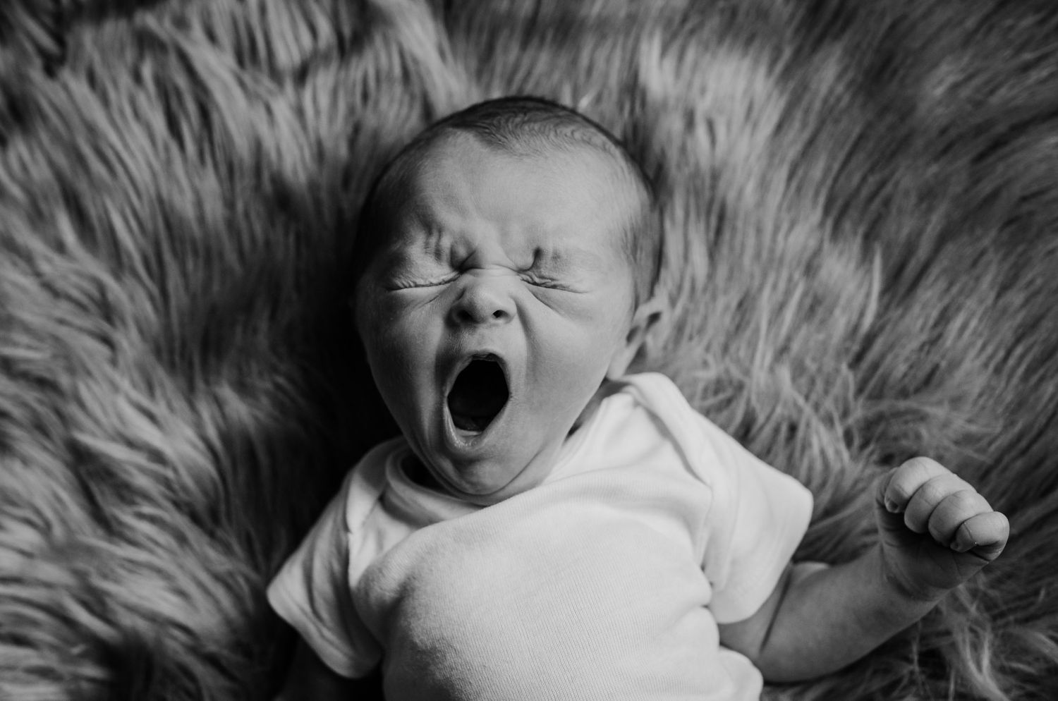 Black and white portrait of a yawning newborn baby on furry backdrop.