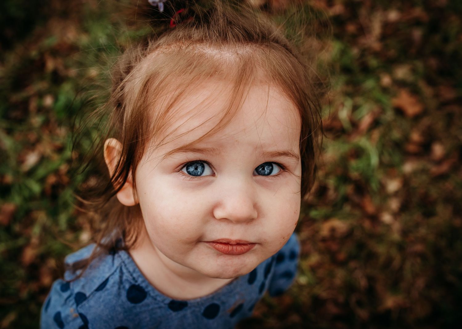 Close up portraits of a toddler in blue against an autumn background.