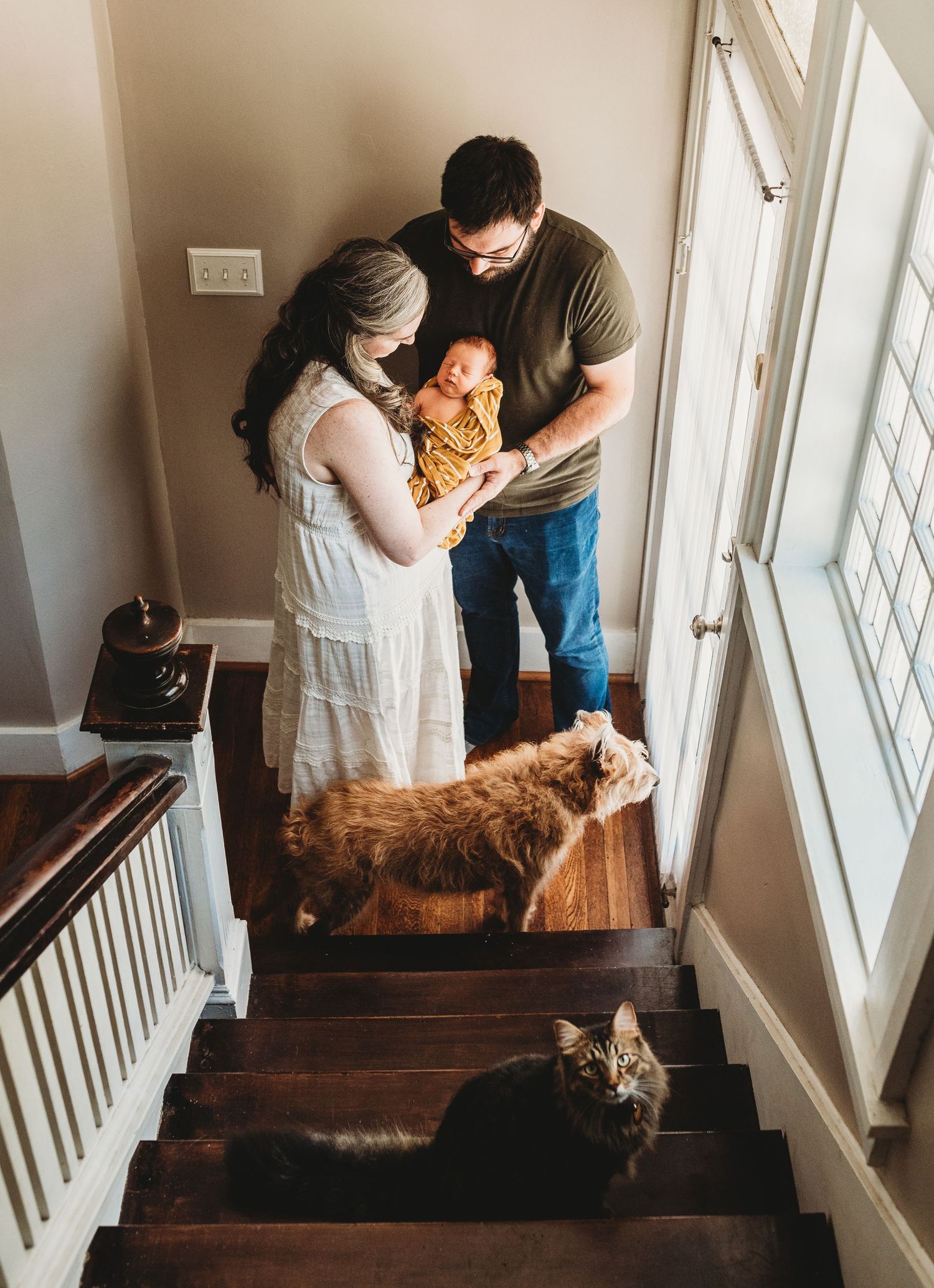 Family and dog gather on wooden staircase near bright windows.