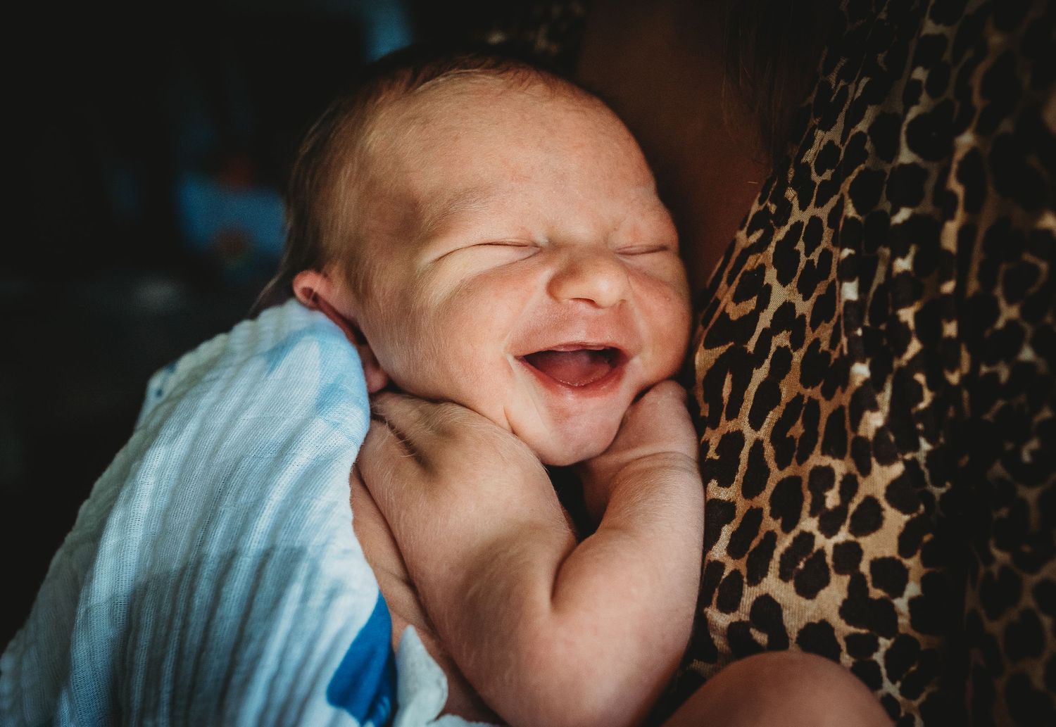Close-up shots of a sleeping newborn against leopard print fabric.