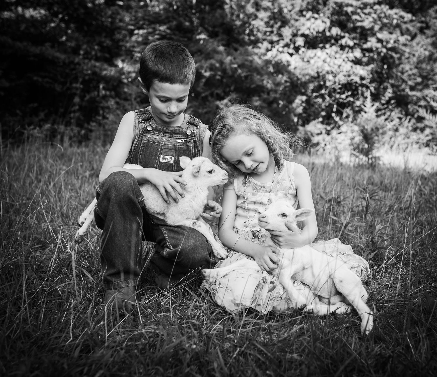 A nostalgic black and white photo of children sitting in grass petting white cats.