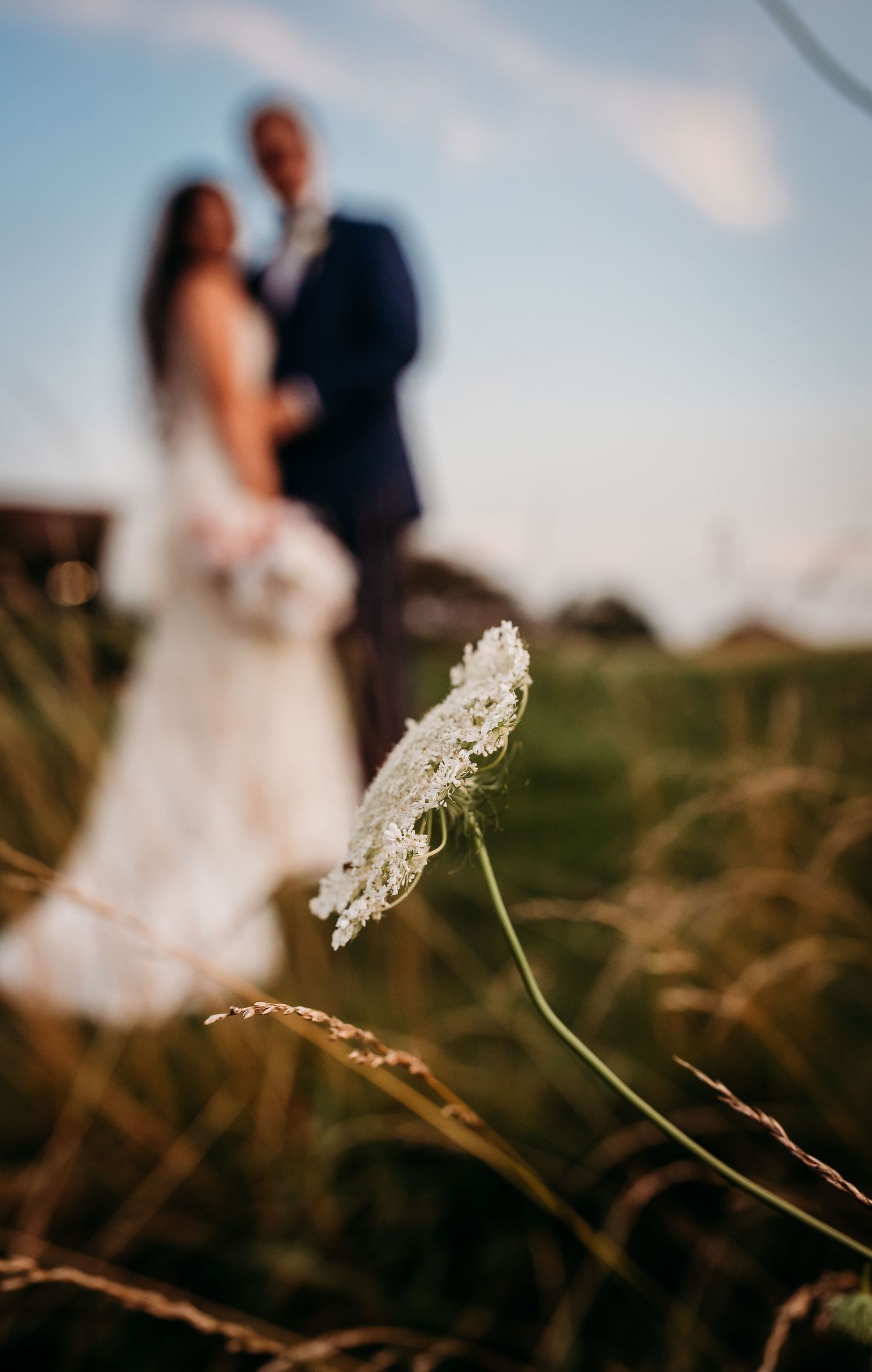 A delicate white wildflower in focus with a blurred wedding couple in the background.