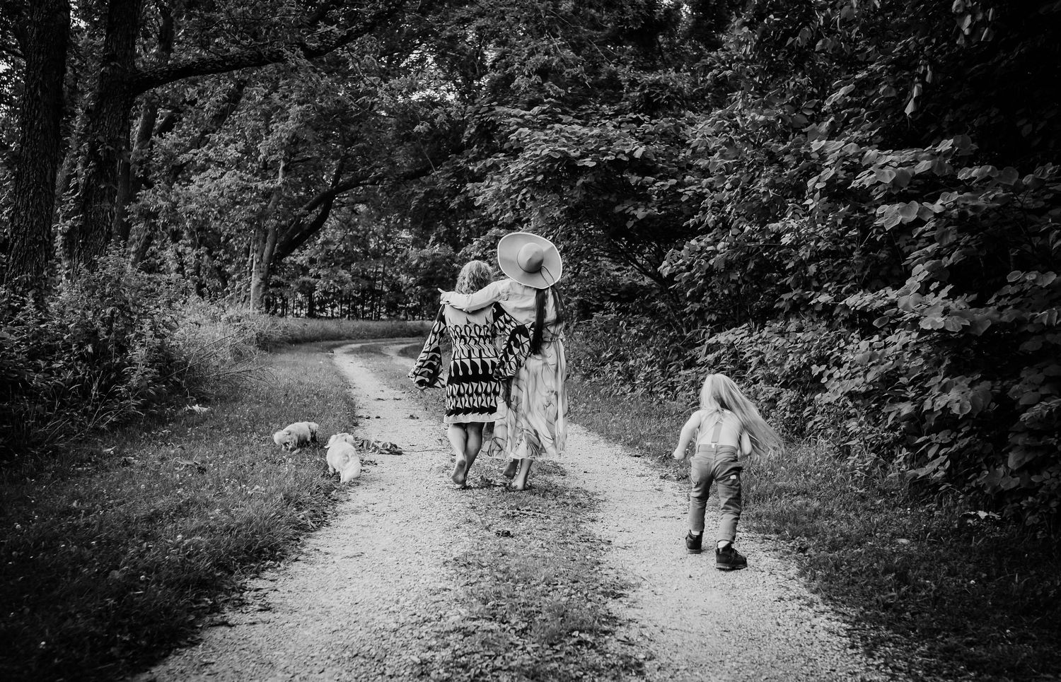 Black and white photograph of people walking down a tree-lined path.