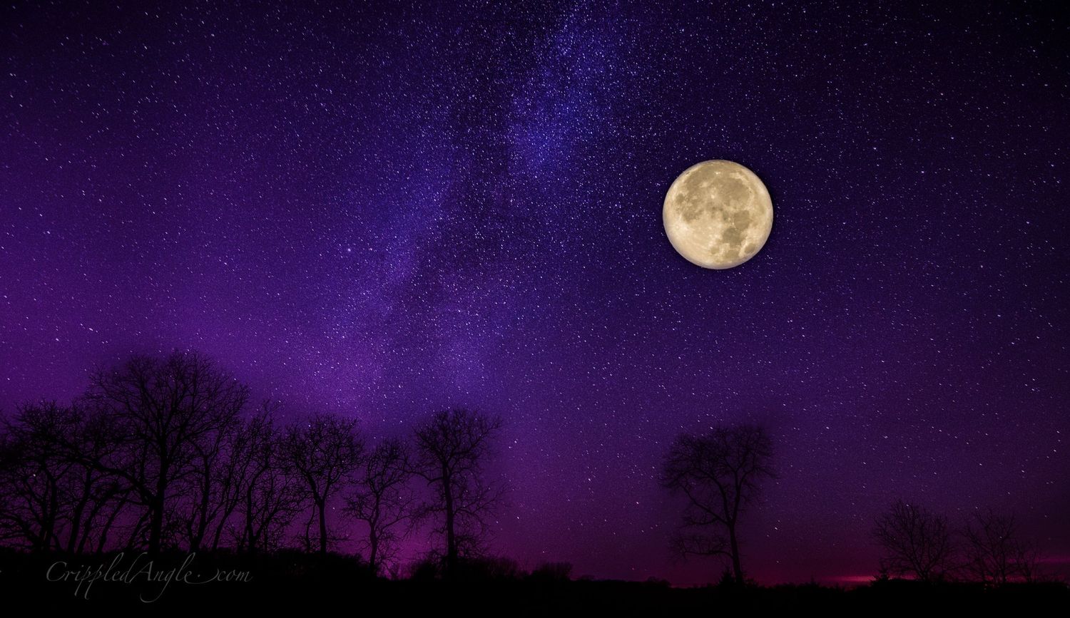 Full moon and Milky Way shine in a purple night sky over silhouetted trees.