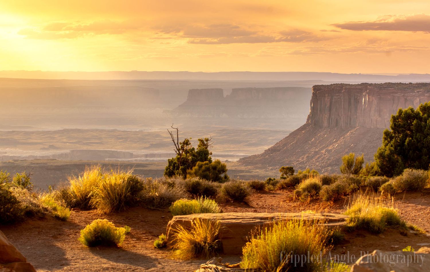 Desert canyon landscape with dramatic cliffs silhouetted against a golden sunset sky.