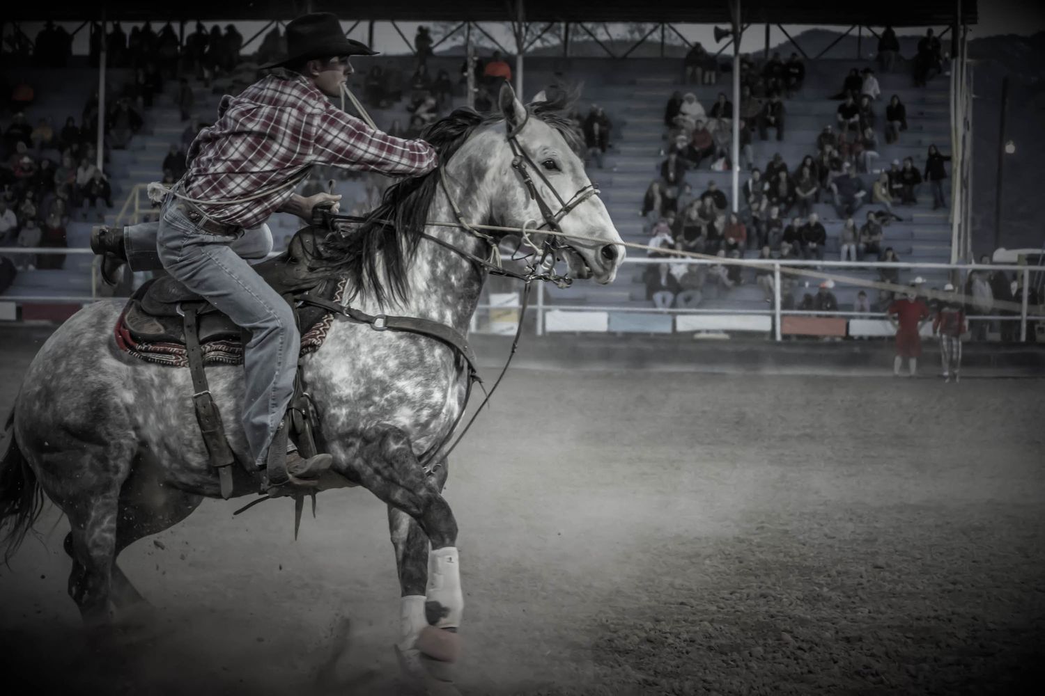 Dramatic black and white photo of rodeo rider on spotted horse in arena.