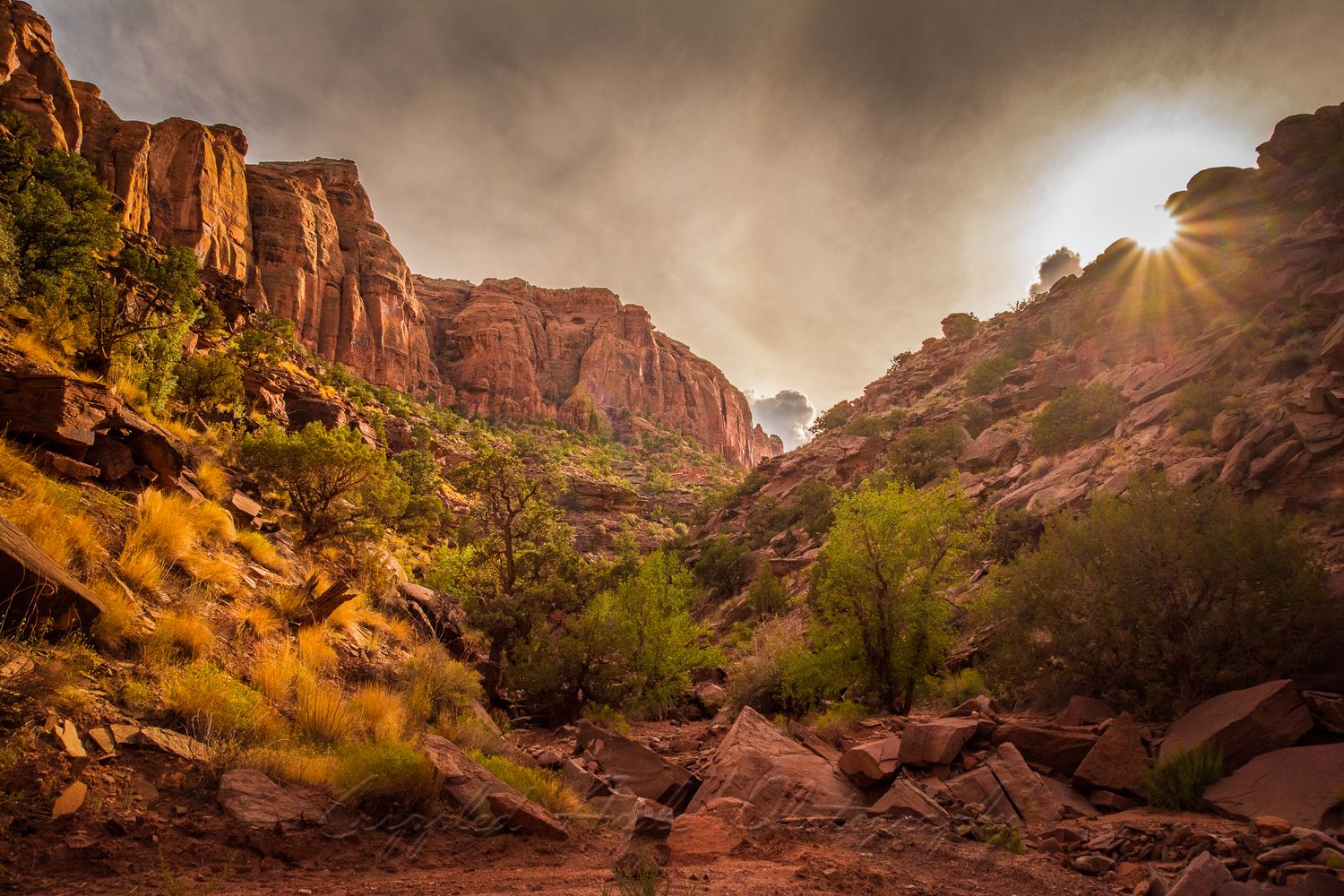 Sunburst illuminates red rock canyon walls and desert vegetation along a winding trail.