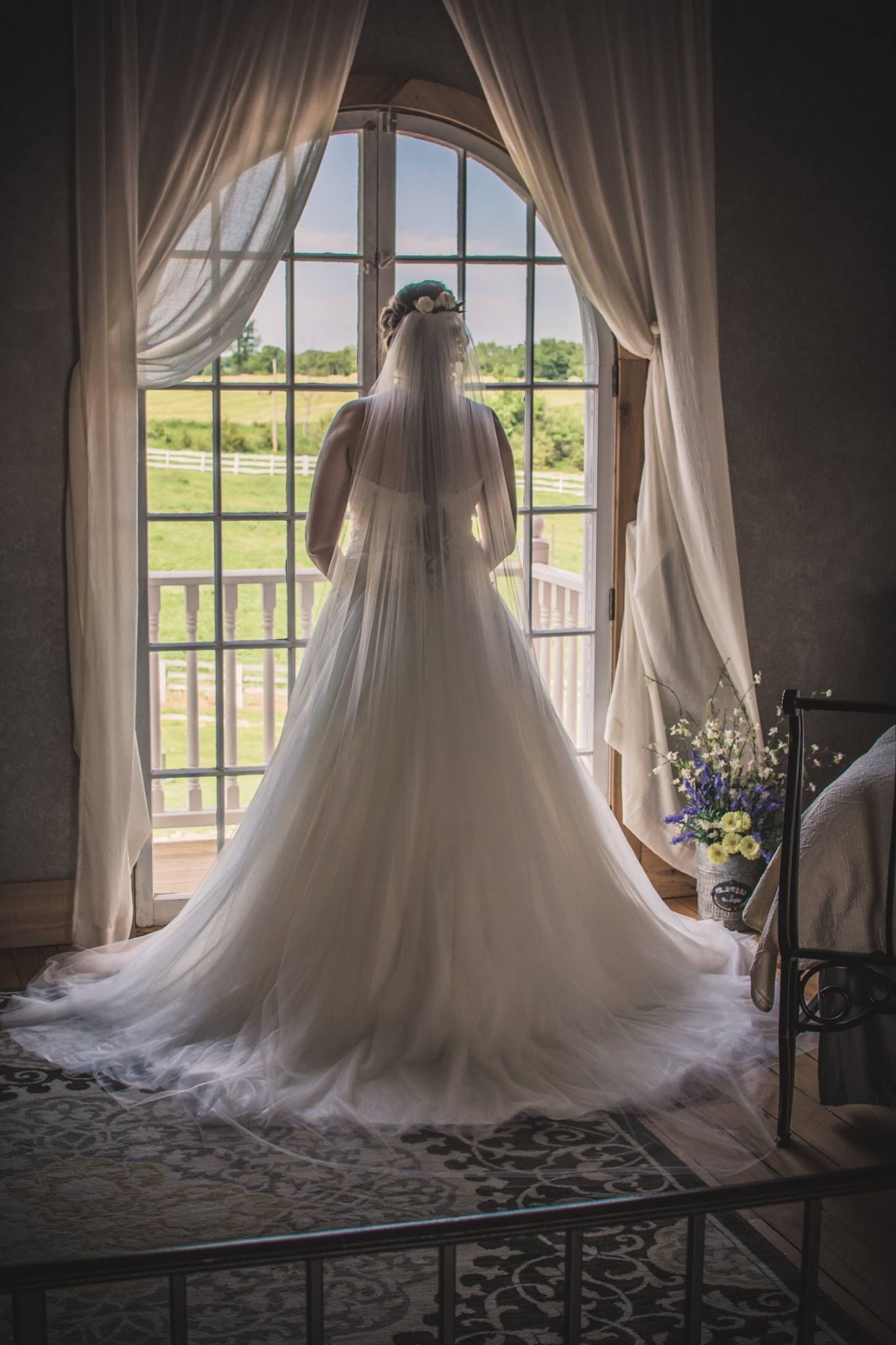 Bride in flowing wedding dress gazes through arched window at countryside view.