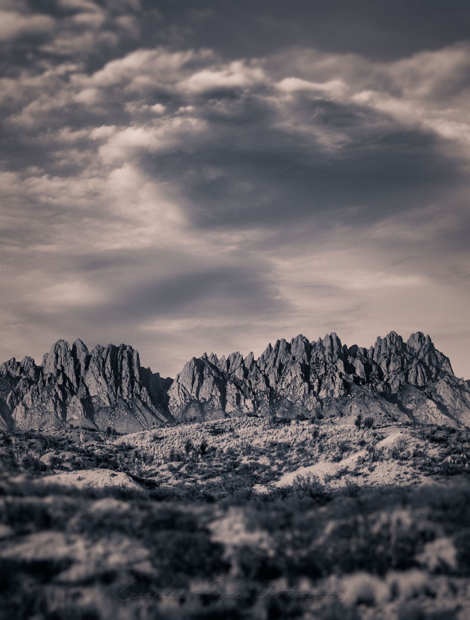 Jagged mountain peaks silhouetted against moody clouds in a monochromatic desert landscape.