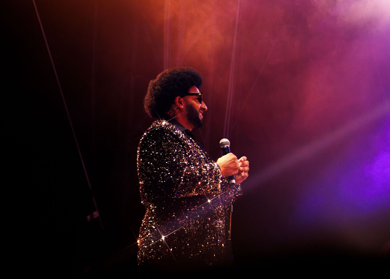 A performer in a sparkly outfit stands on stage illuminated by dramatic purple and red concert lighting.