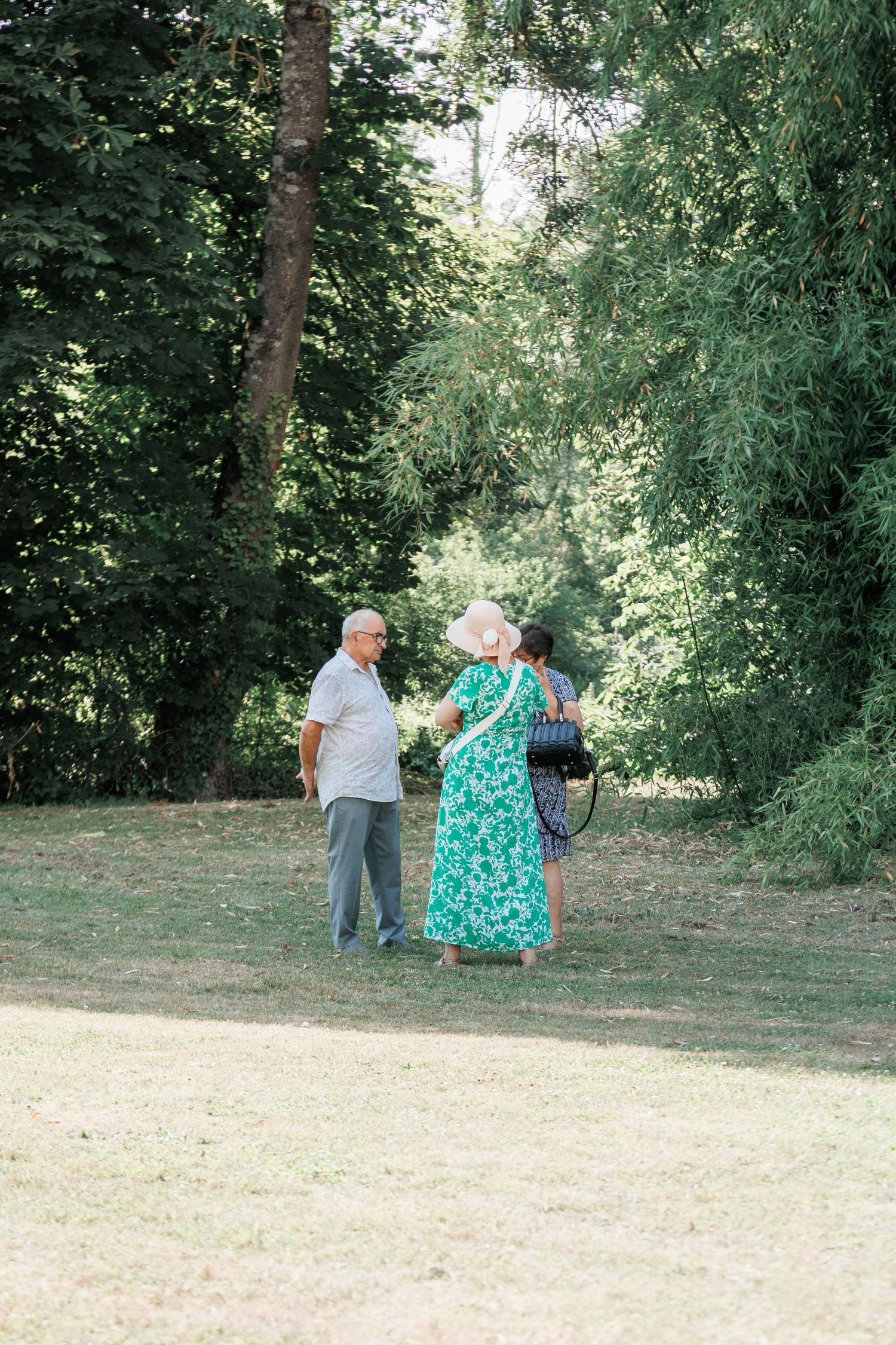 Elderly couple and woman in green floral dress conversing in a sunny park surrounded by lush green trees.