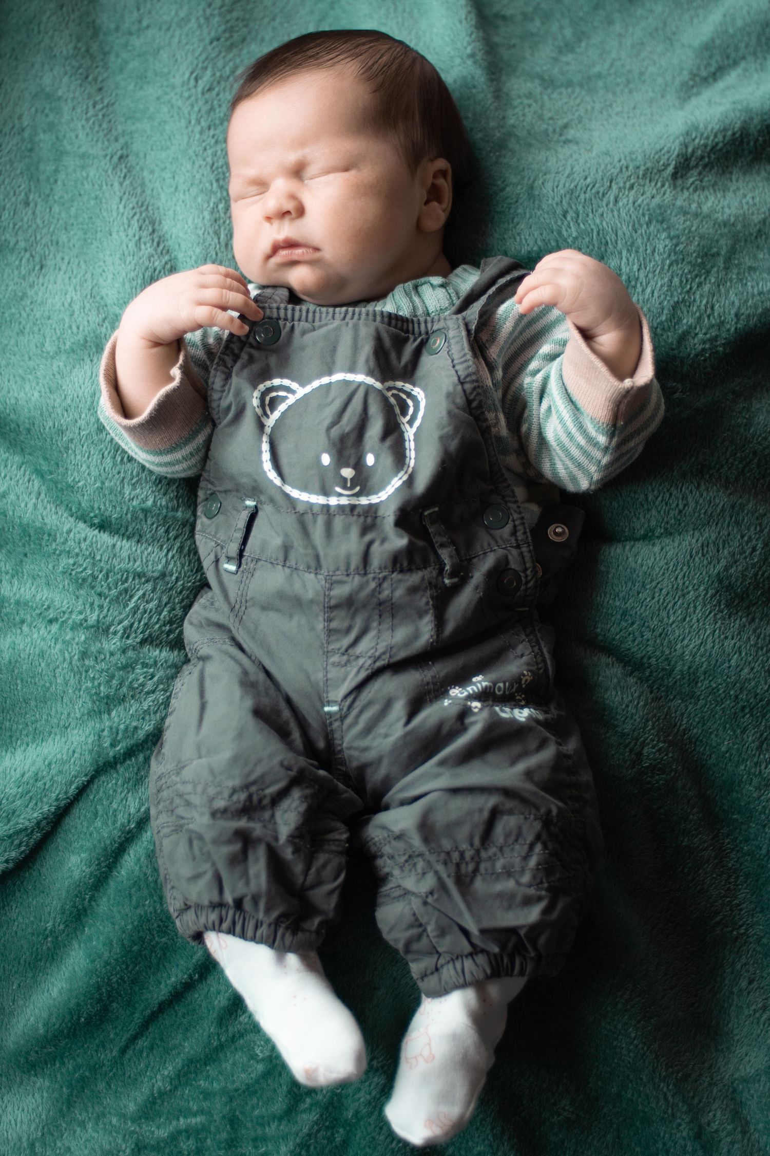 A sleeping baby wears gray bear overalls while resting on green fabric.