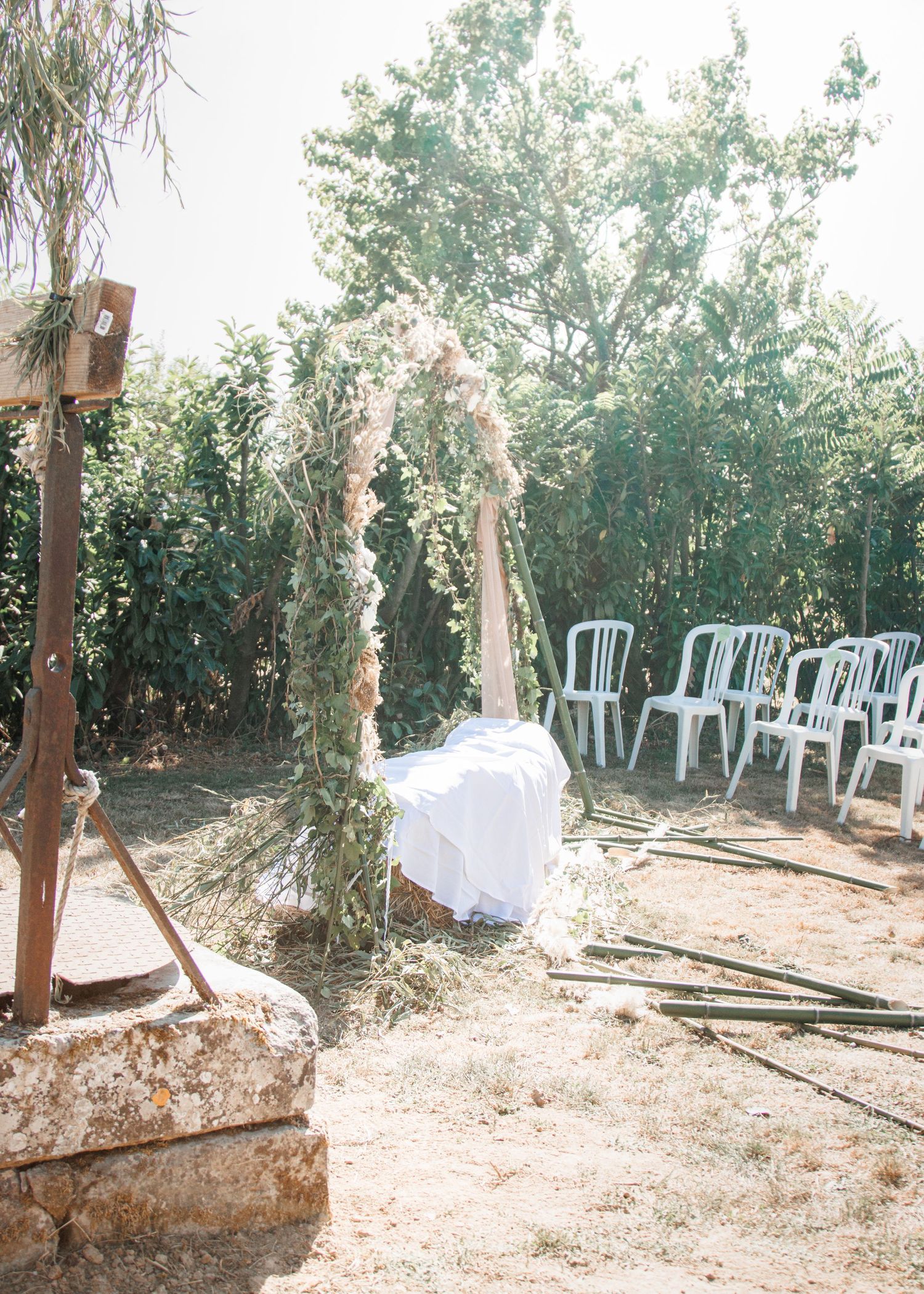 White plastic chairs arranged in rows on dirt ground with sunlit bamboo trees creating a natural outdoor setting.