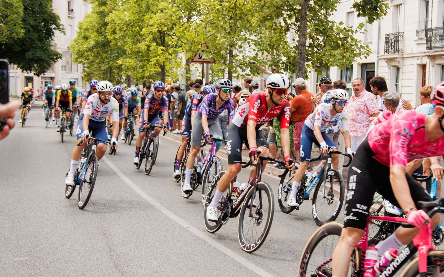 Professional cyclists race in formation along a tree-lined urban street during a cycling competition.