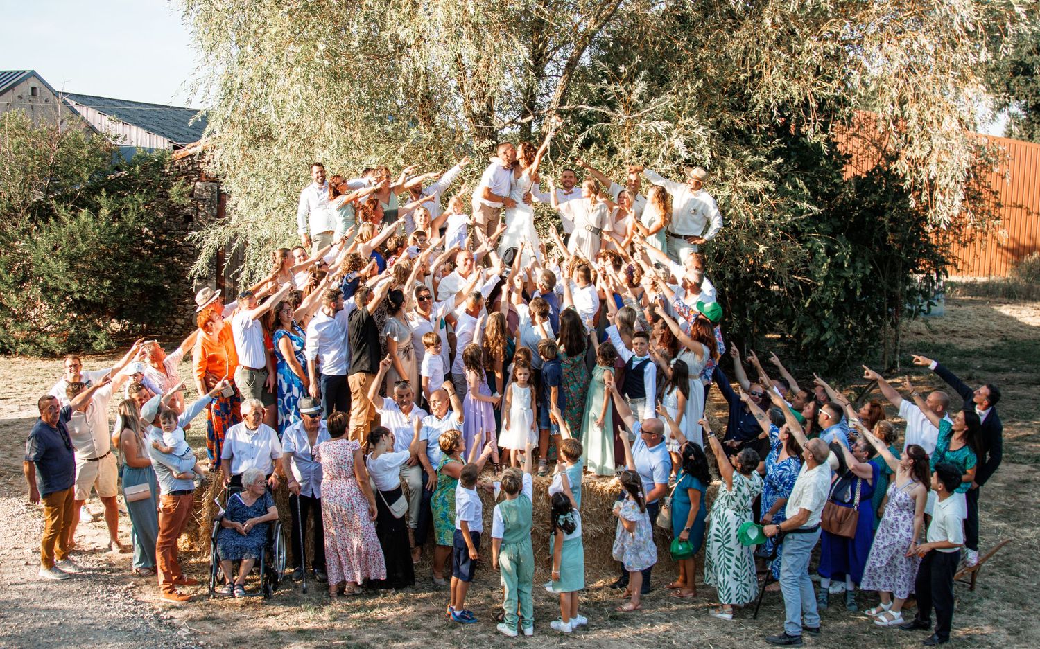 A wedding party celebration sequence shows guests cheering and tossing confetti along a tree-lined path.