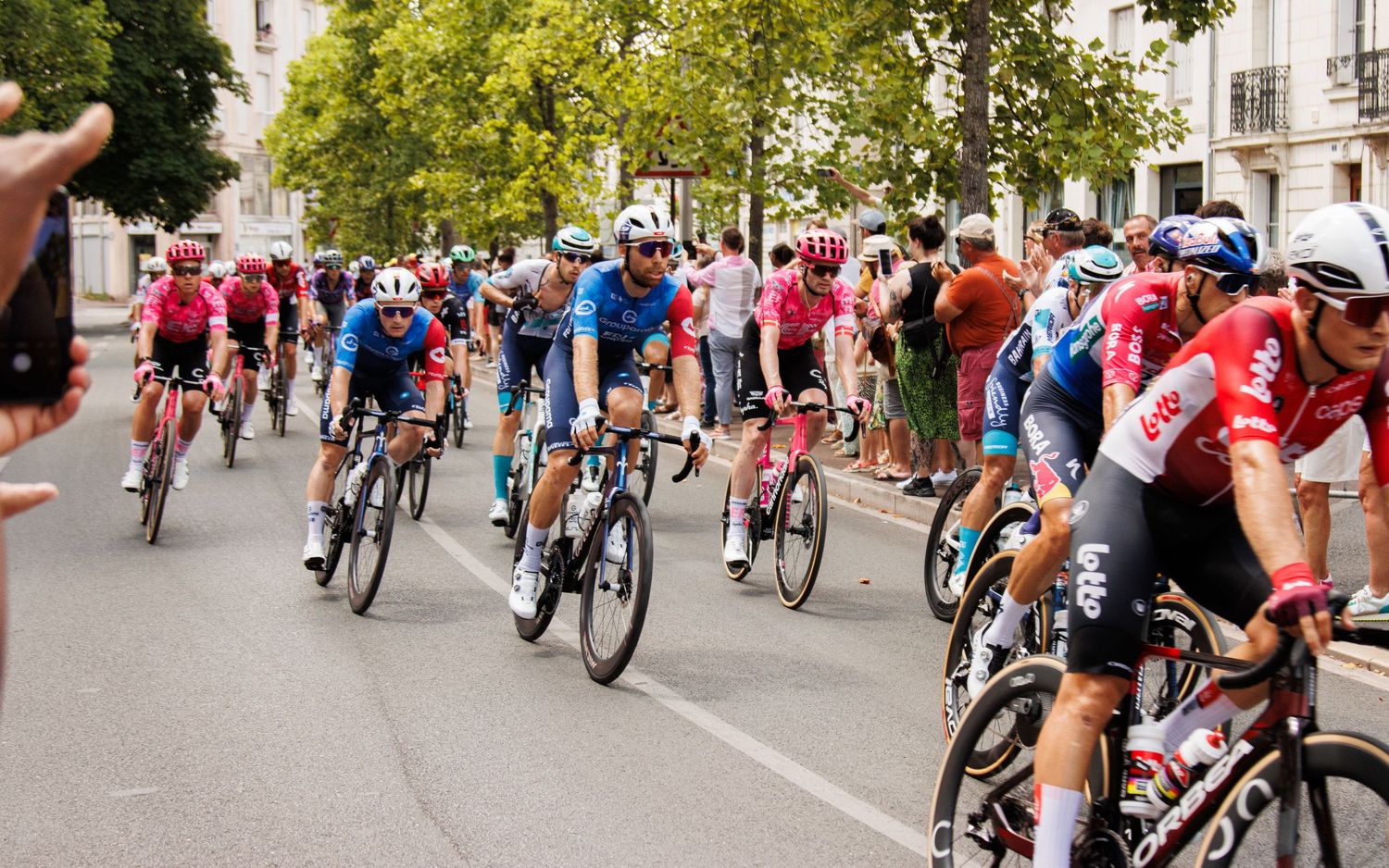 Professional cycling peloton competes during a road race with crowds watching from tree-lined street.