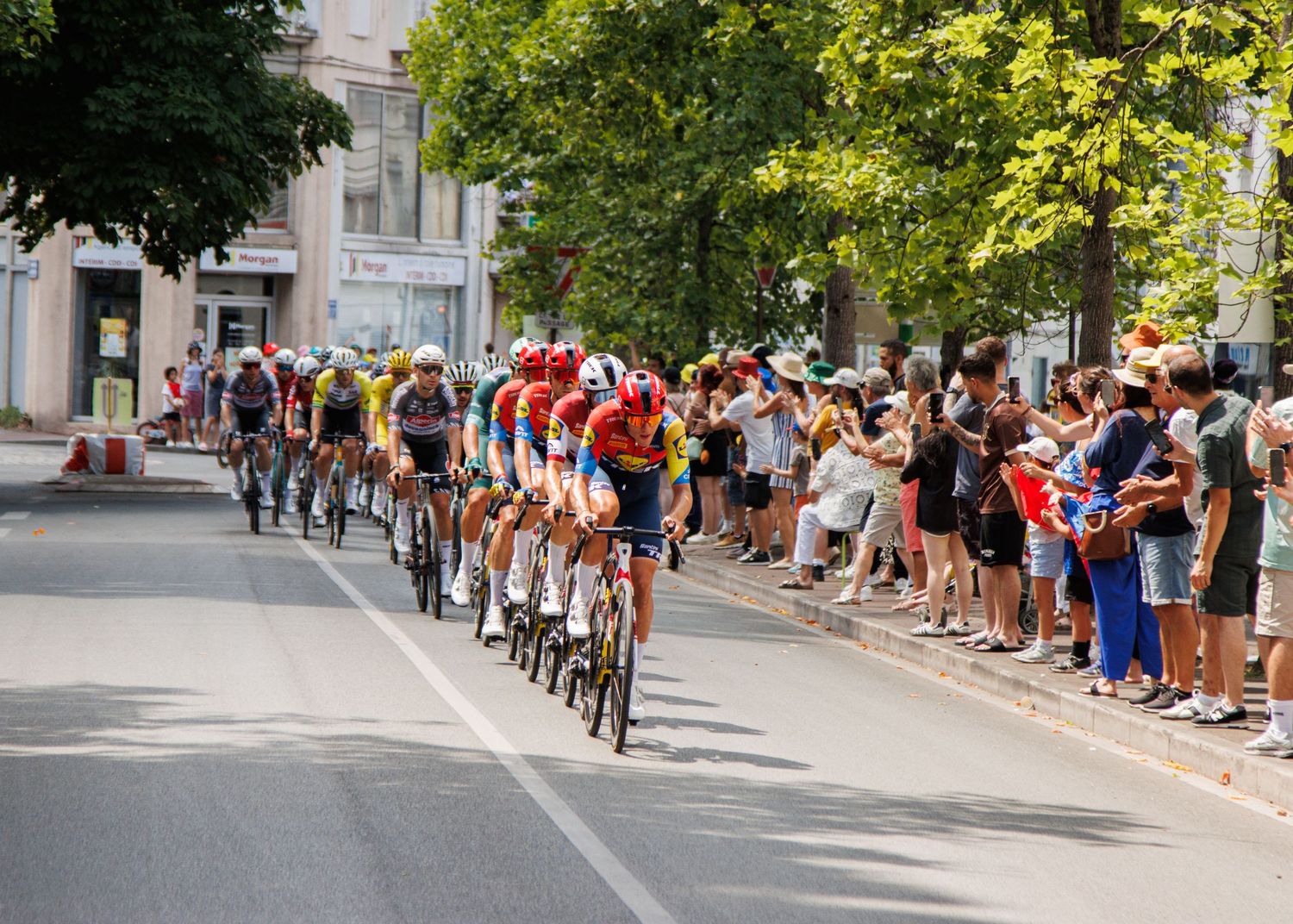 Professional cyclists in a peloton race through an urban street lined with cheering spectators and leafy trees.