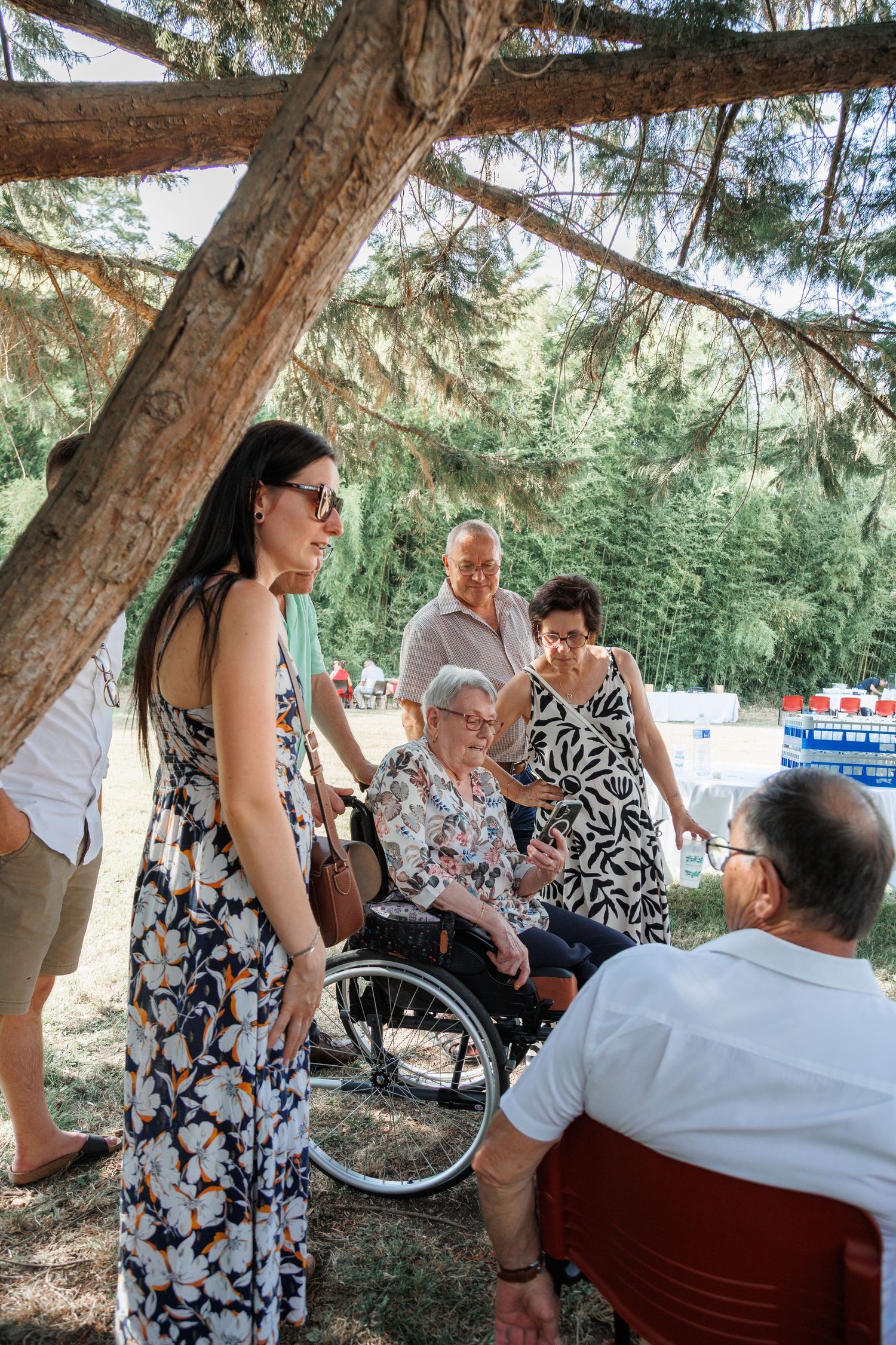 Family members gather under pine trees at an outdoor event, with an elderly woman in a wheelchair surrounded by loved ones.