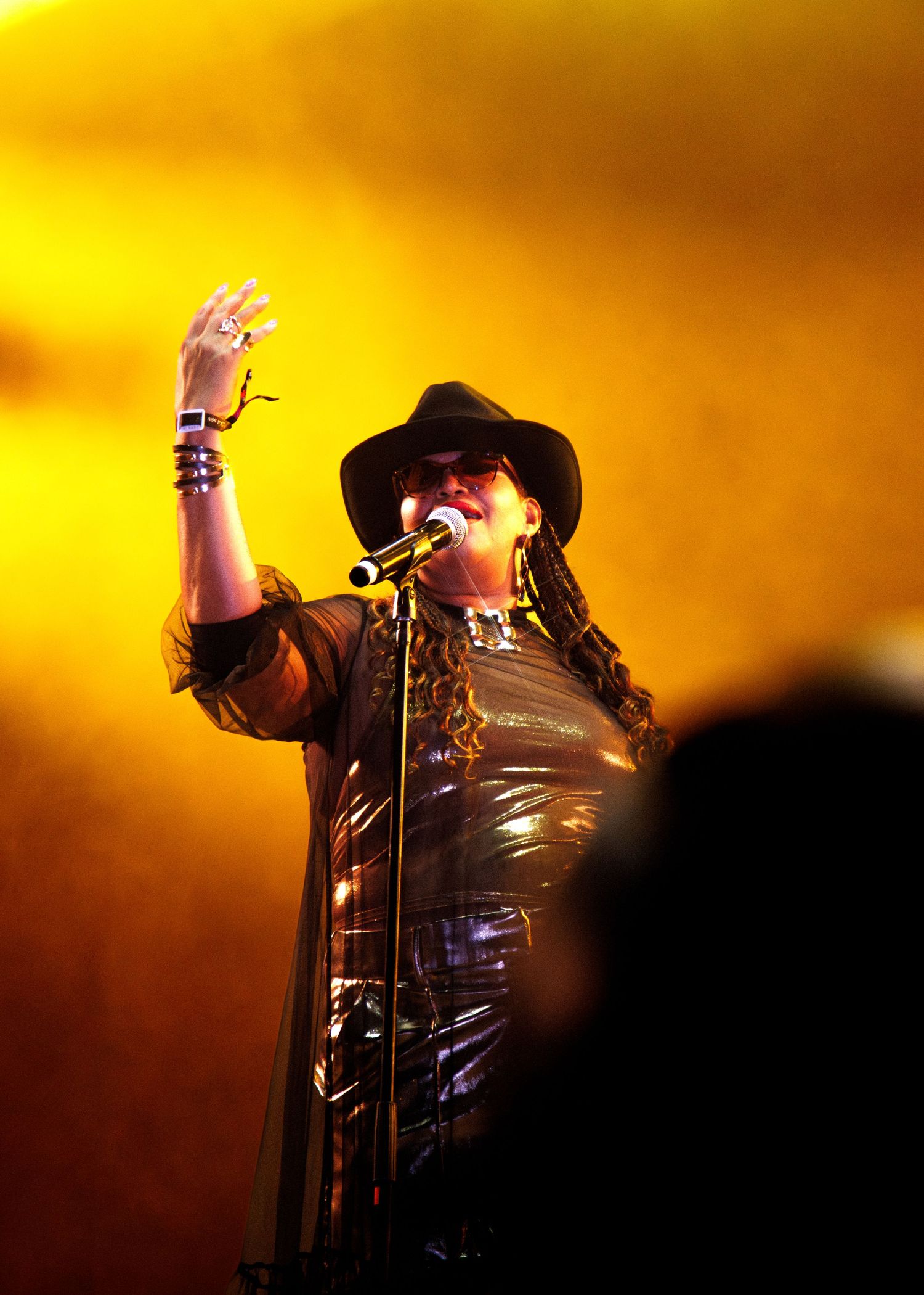 A performer in black attire and hat raises their arm while singing on stage with dramatic golden lighting in the background.