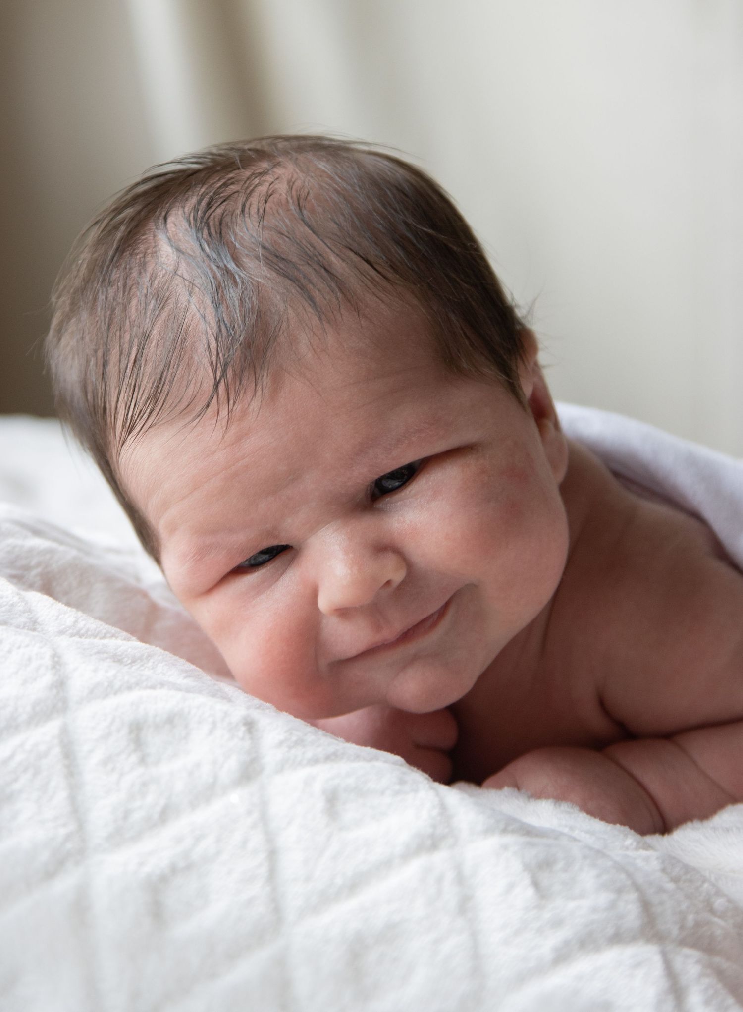 A newborn rests on white bedding during a portrait session.