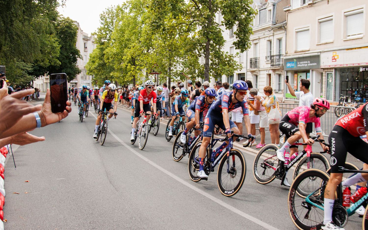 Cyclists race along a tree-lined street as spectators cheer from the sidelines.