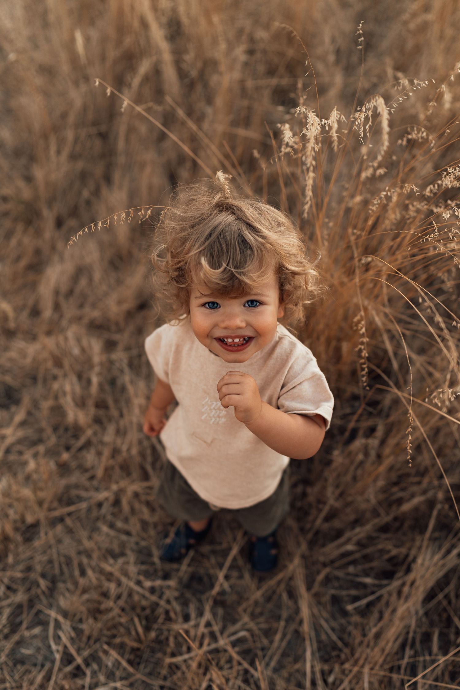 Perth Family Photographer cute boy picture golden fields perth banjup canning vale