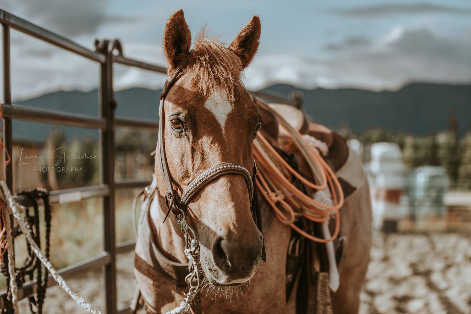 Event Photographer in Alaska North and Wild Rodeo, Cowgirl, Horse Sunderland Ranch