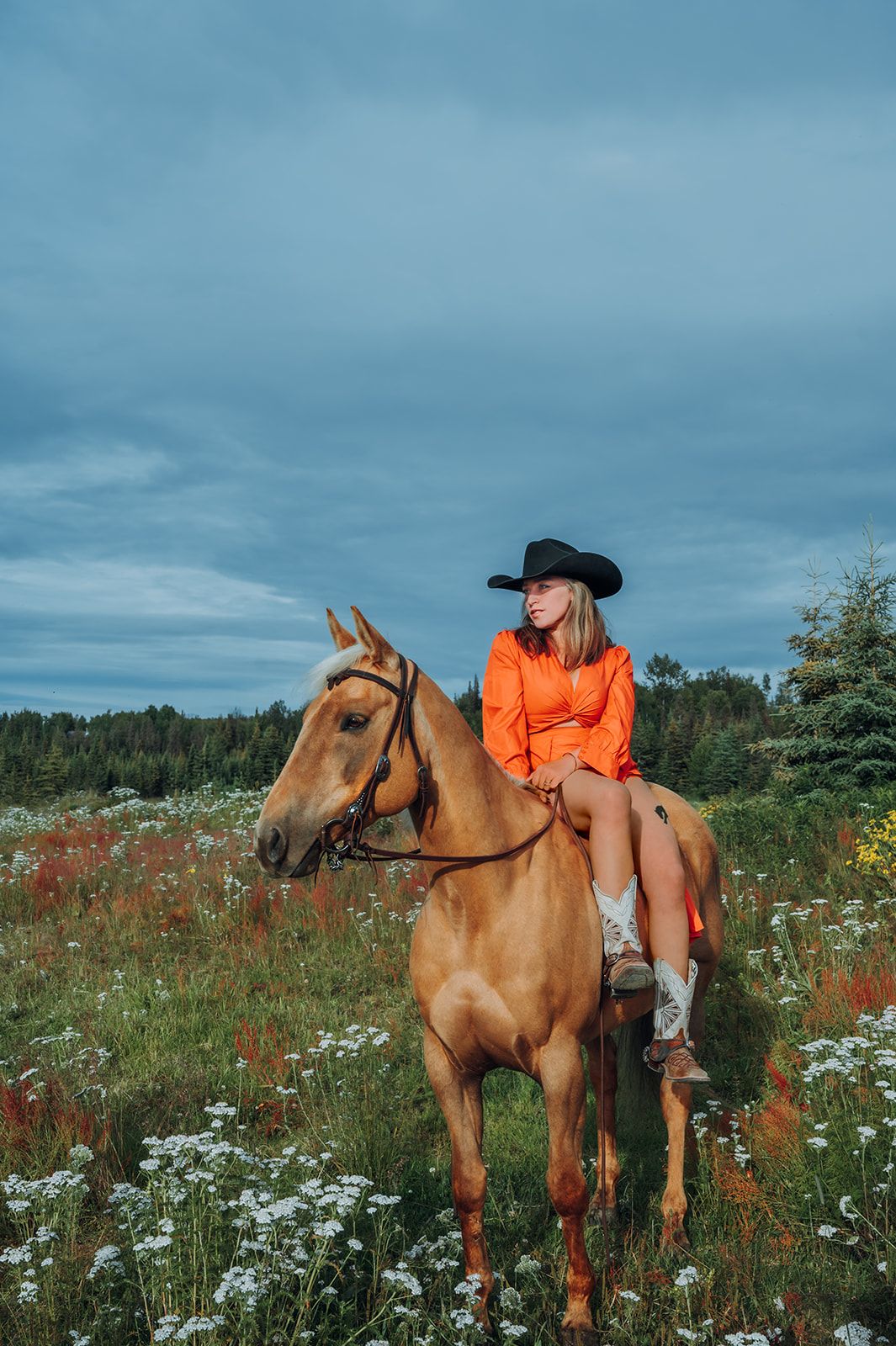 North and Wild Photography Horse and Rider Equine Portraits