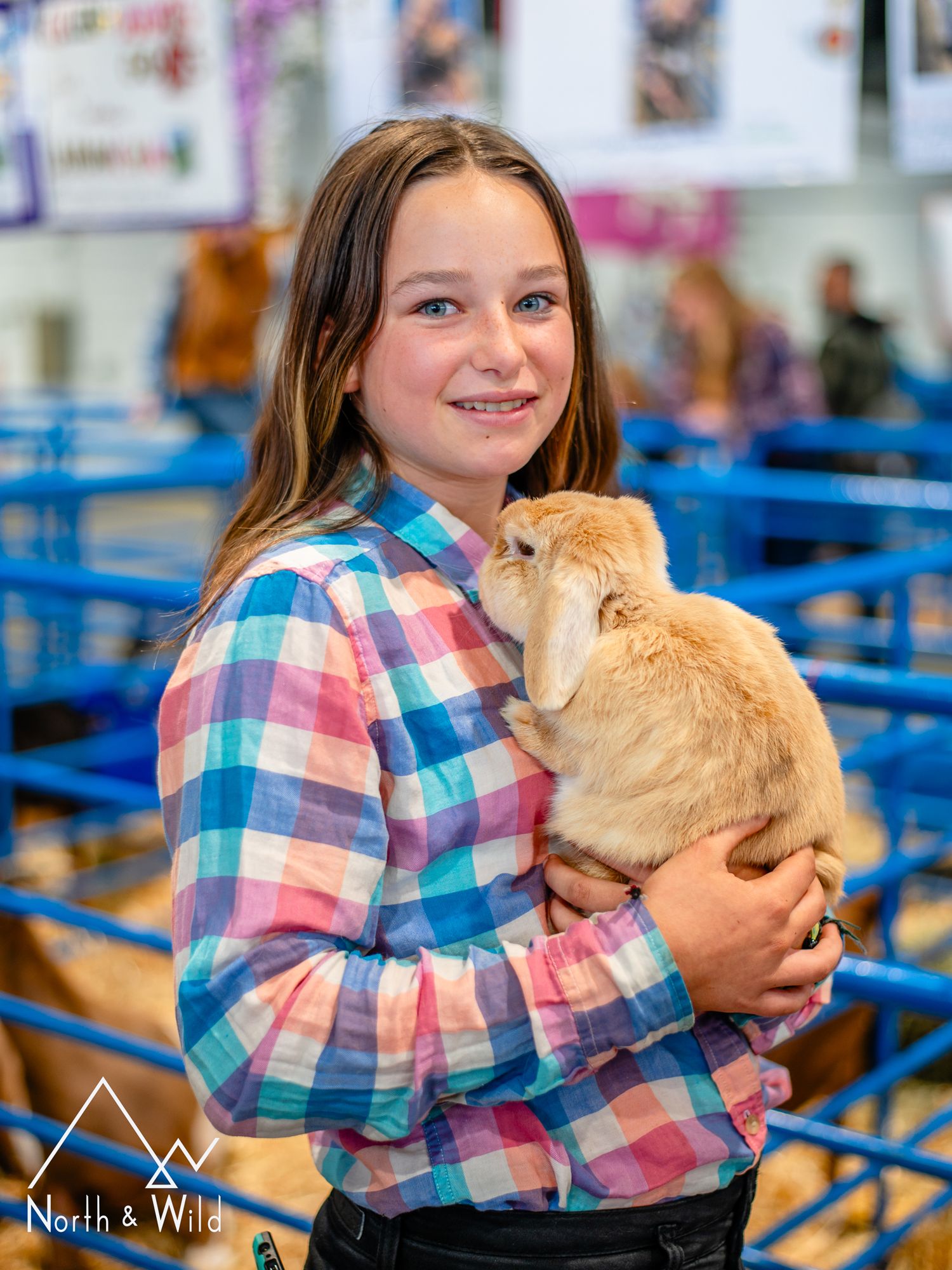 Livestock Photography by North and Wild in Alaska