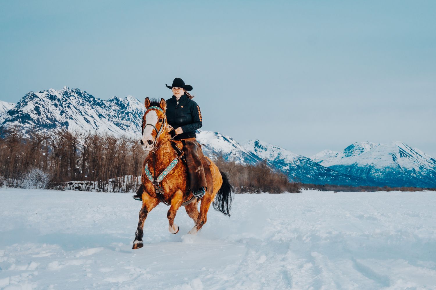 Equine portraits horse Photography in Alaska by North and Wild