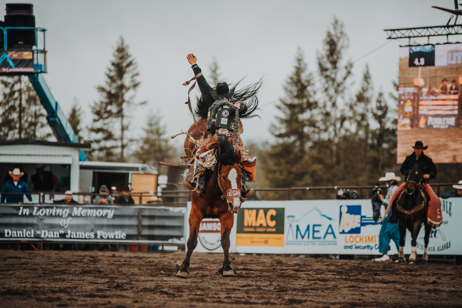 Bronc riding action shot at rodeo with bucking horse and rider silhouetted against sky.
