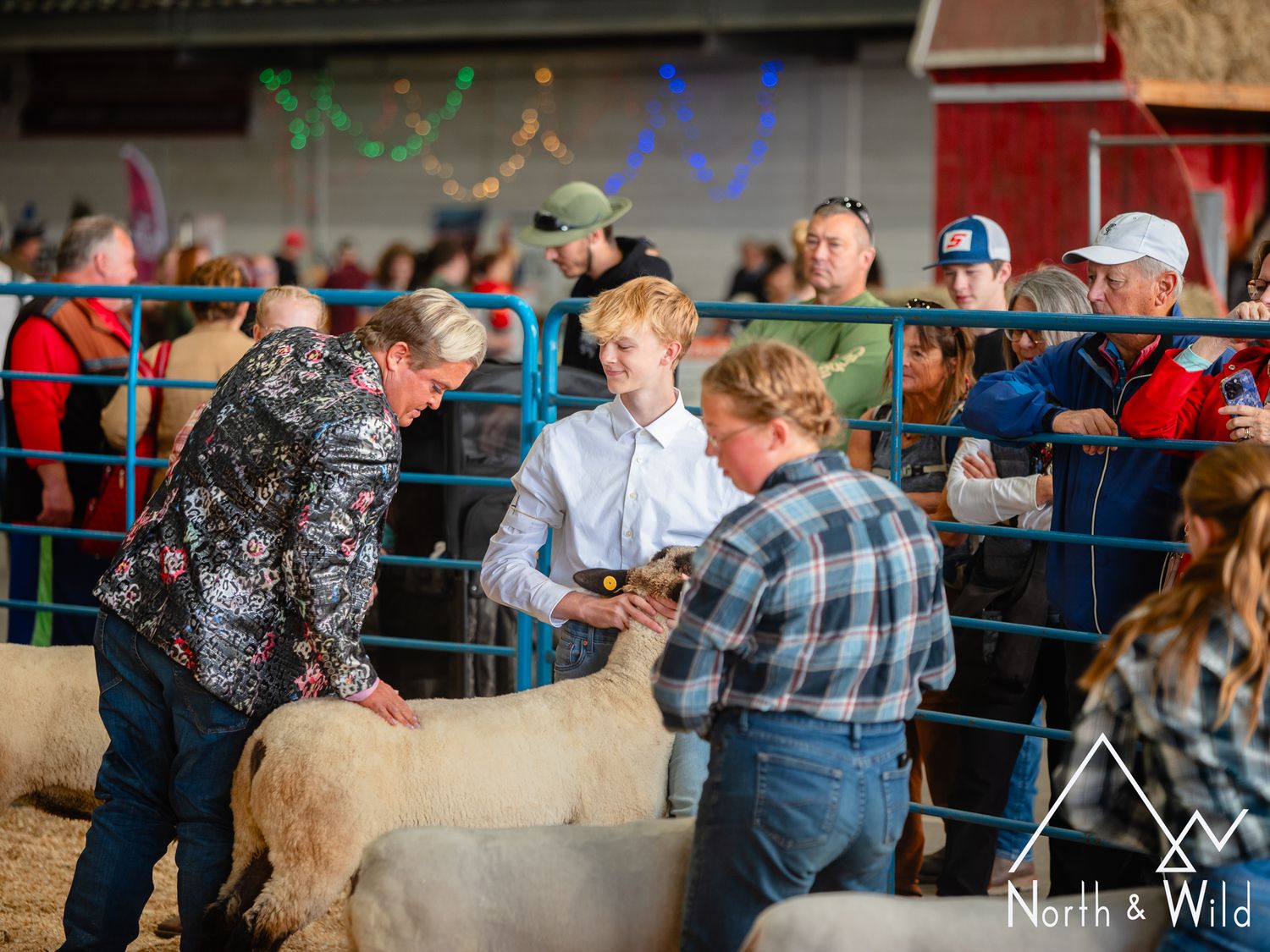 Livestock Photography by North and Wild in Alaska