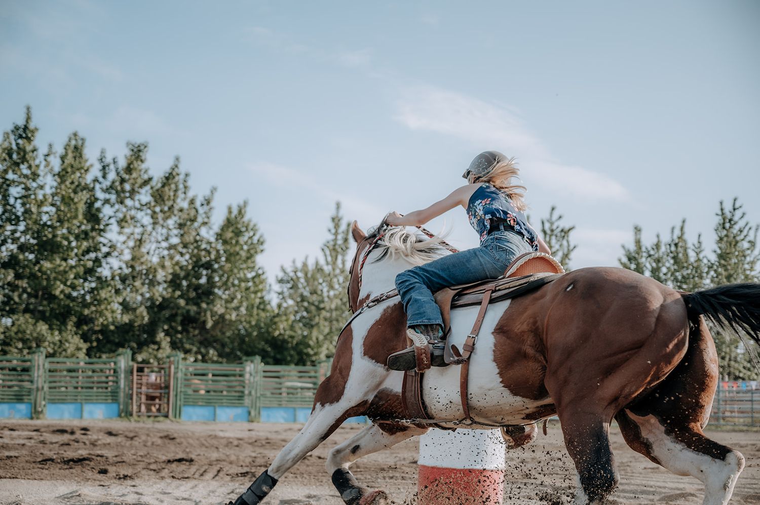 Rodeo North and Wild in Alaska
