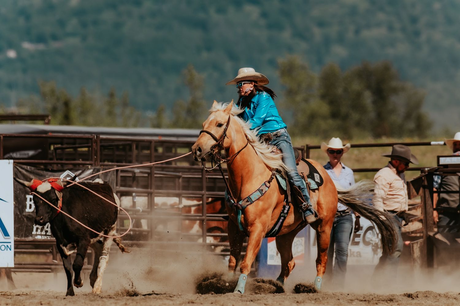 Rodeo Photographer captures Rodeo Alaska, Image by North and Wild