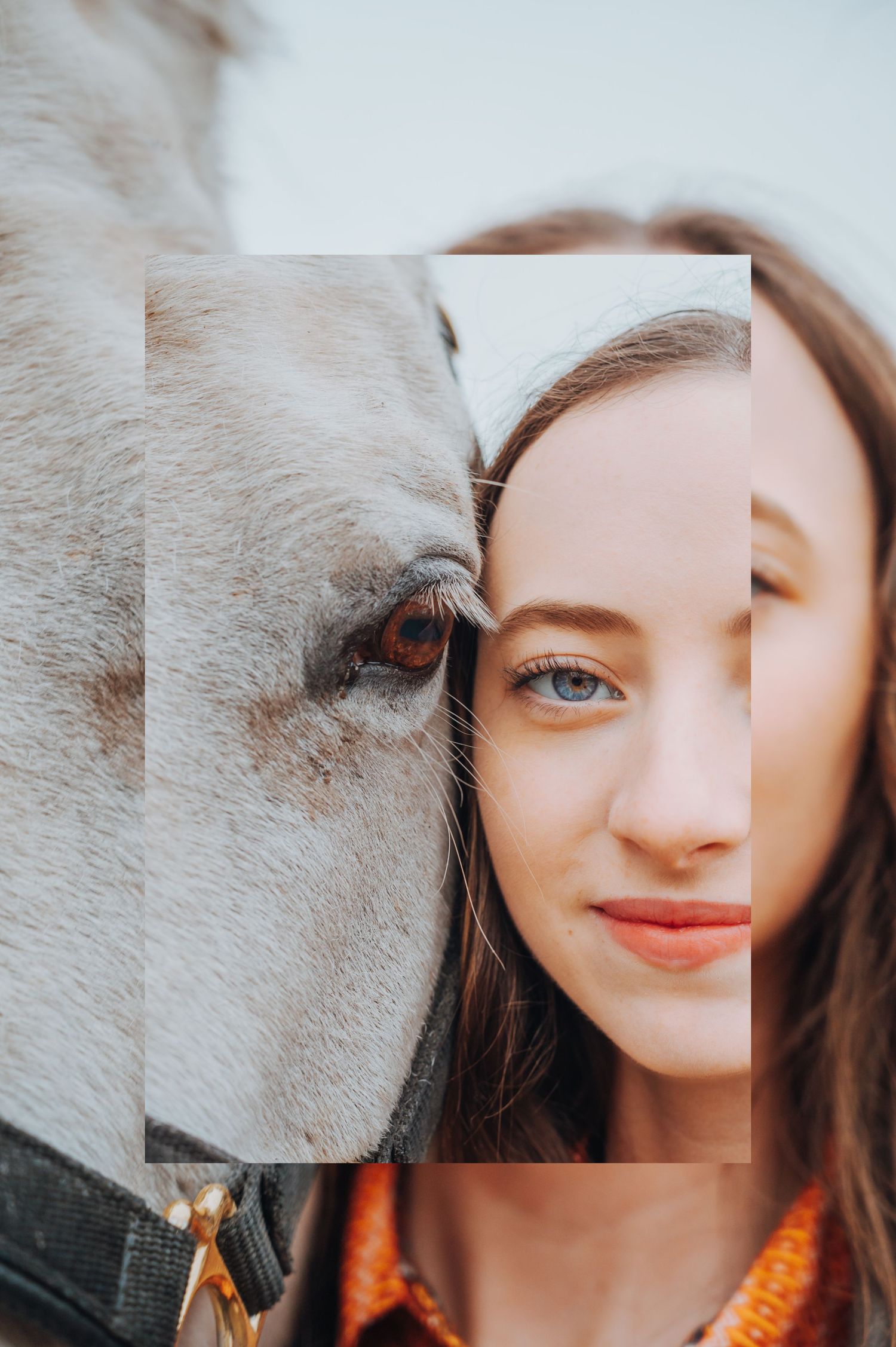 Equine portraits horse Photography in Alaska by North and Wild